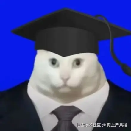 掘金严肃猫于2026-01-02 13:03发布的图片