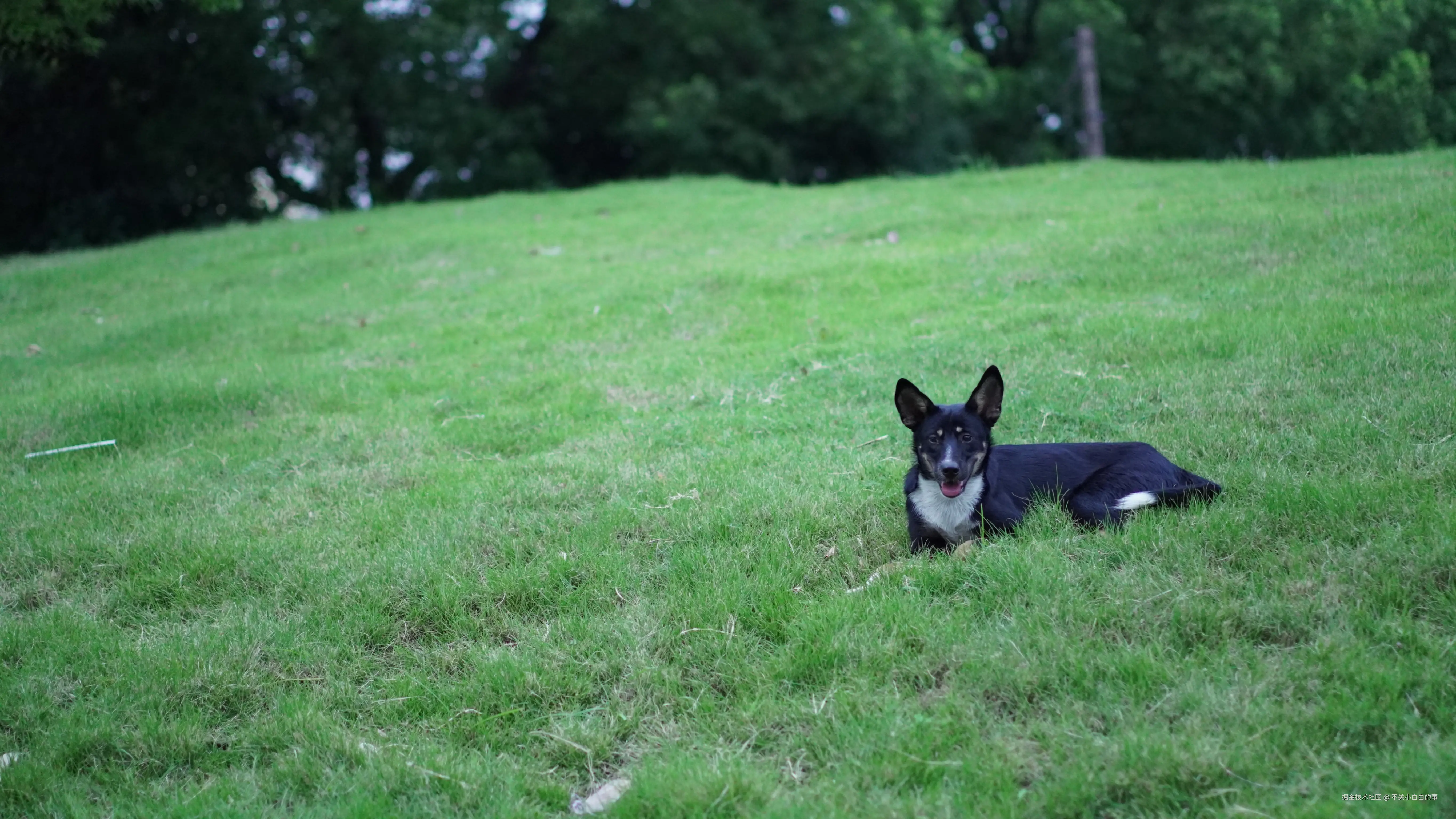 不关小白白的事于2024-08-12 09:42发布的图片