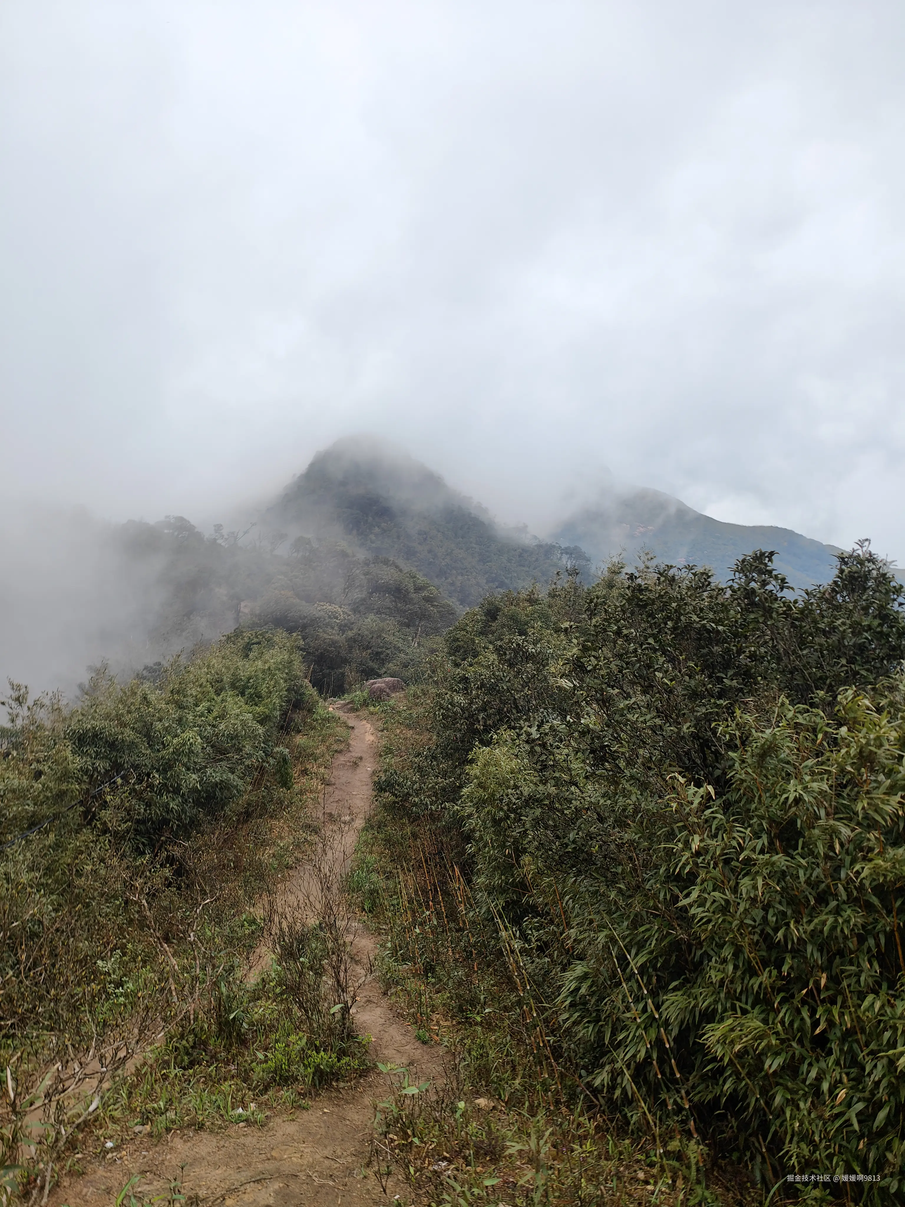 媛媛啊9813于2026-04-14 22:41发布的图片