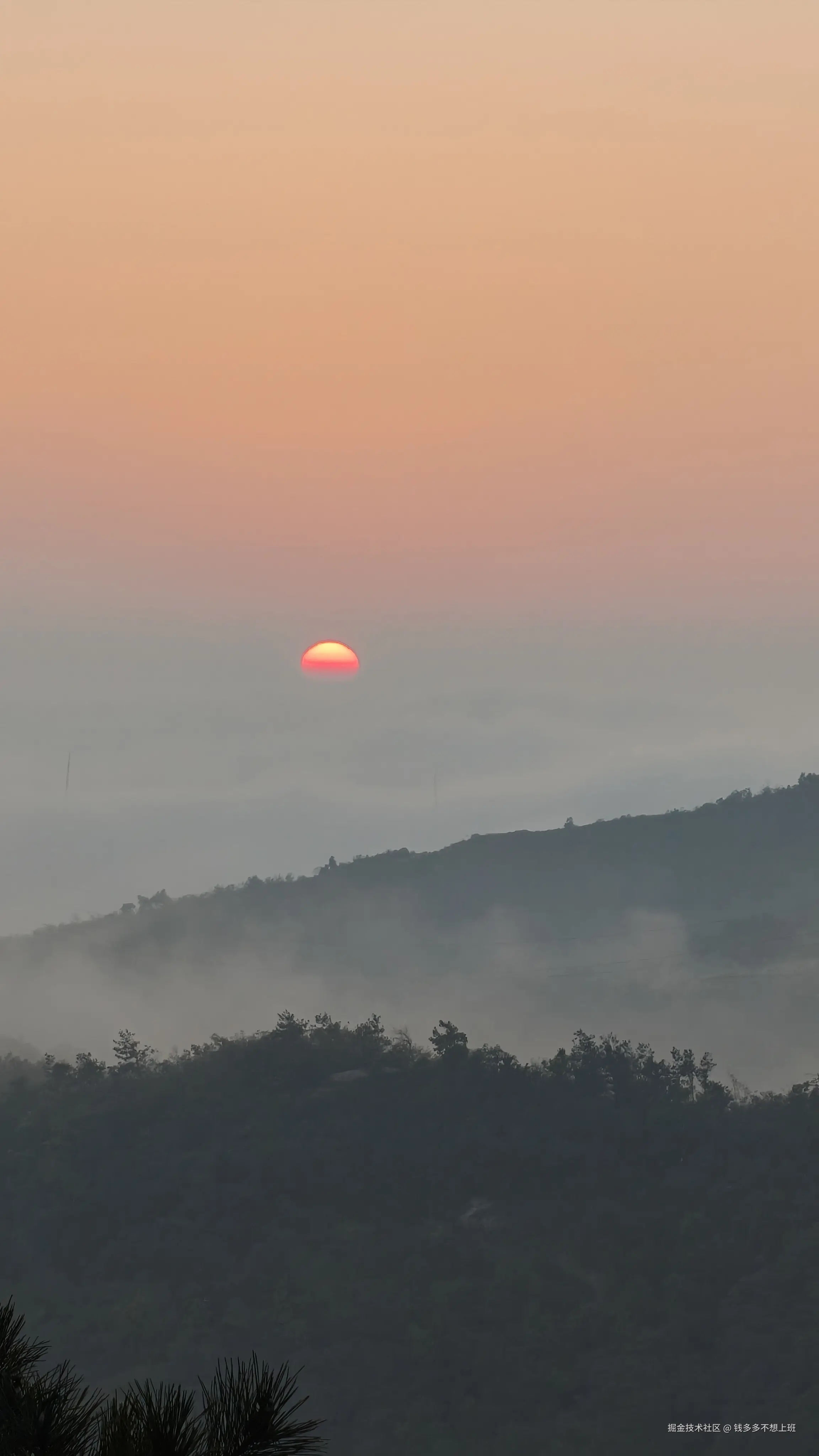 钱多多不想上班于2025-10-14 13:57发布的图片