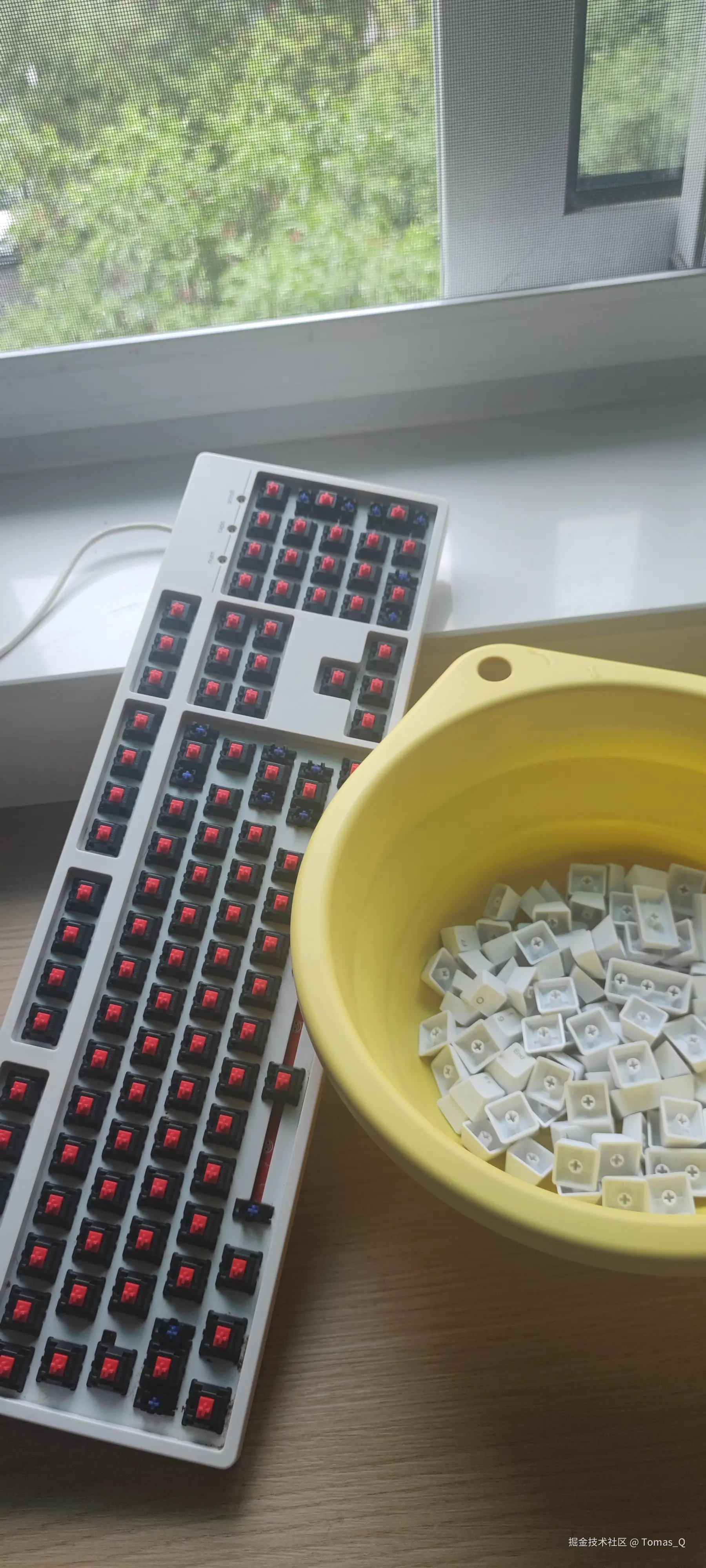 Tomas_Q于2026-04-28 12:58发布的图片