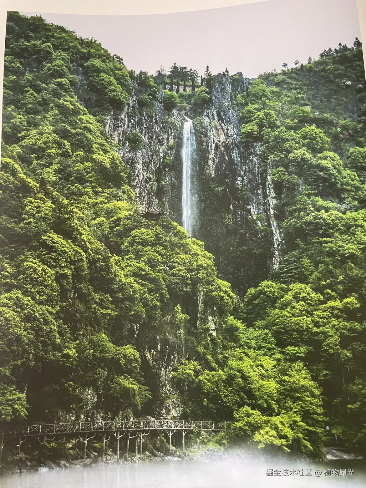 植物昂光于2026-04-14 20:57发布的图片