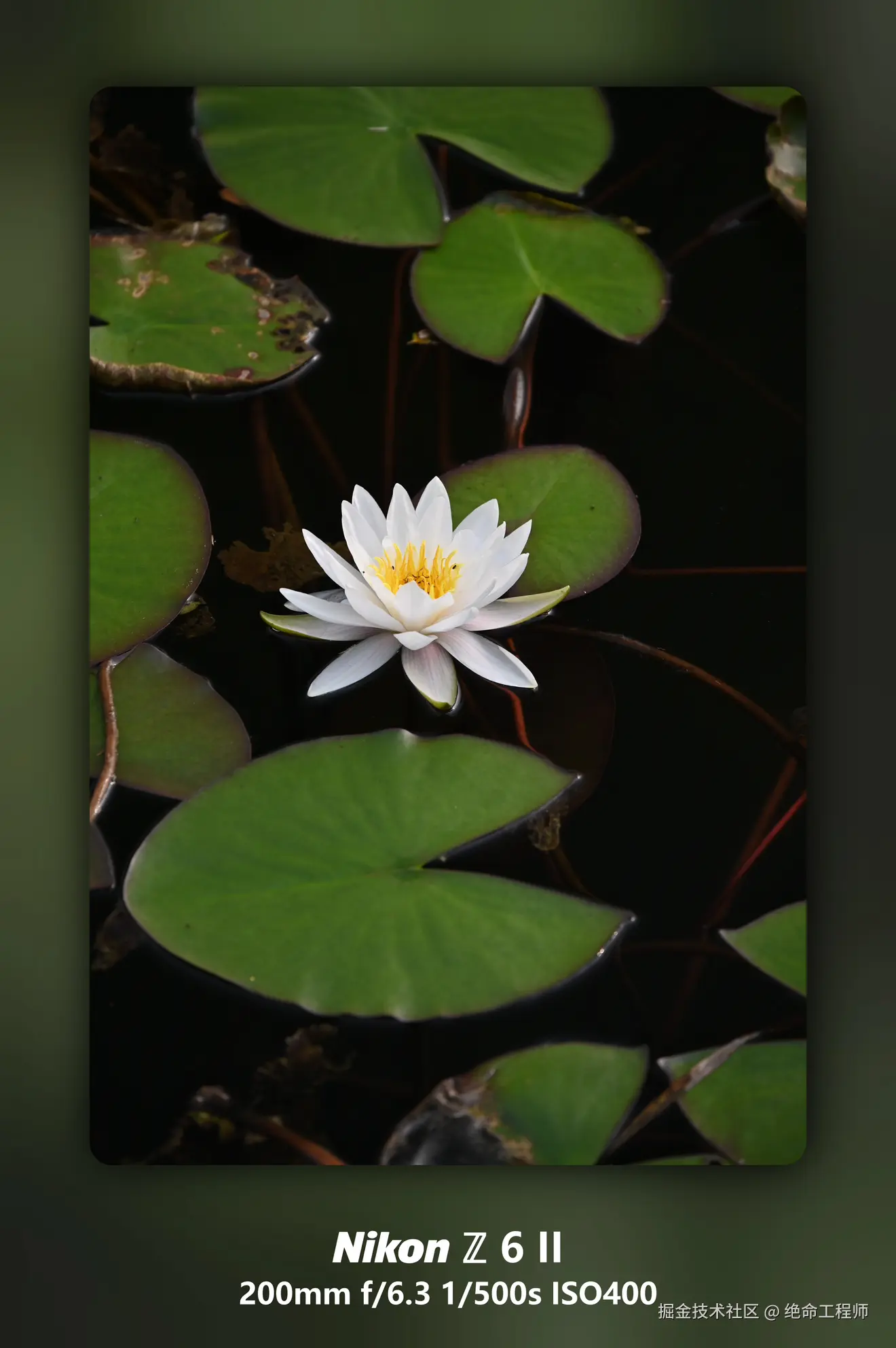 绝命工程师于2025-11-11 09:28发布的图片