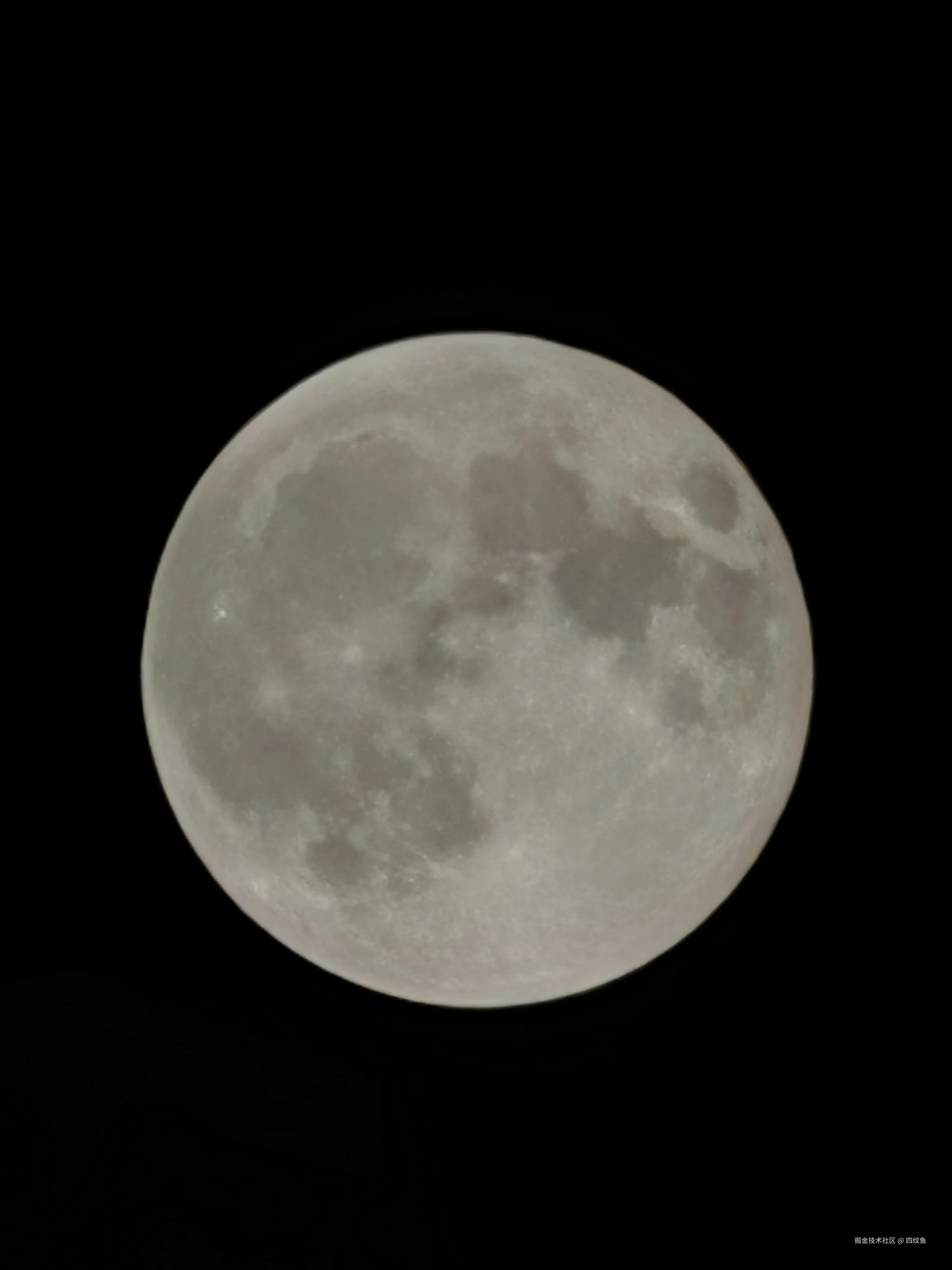 四纹鱼于2024-09-19 10:02发布的图片