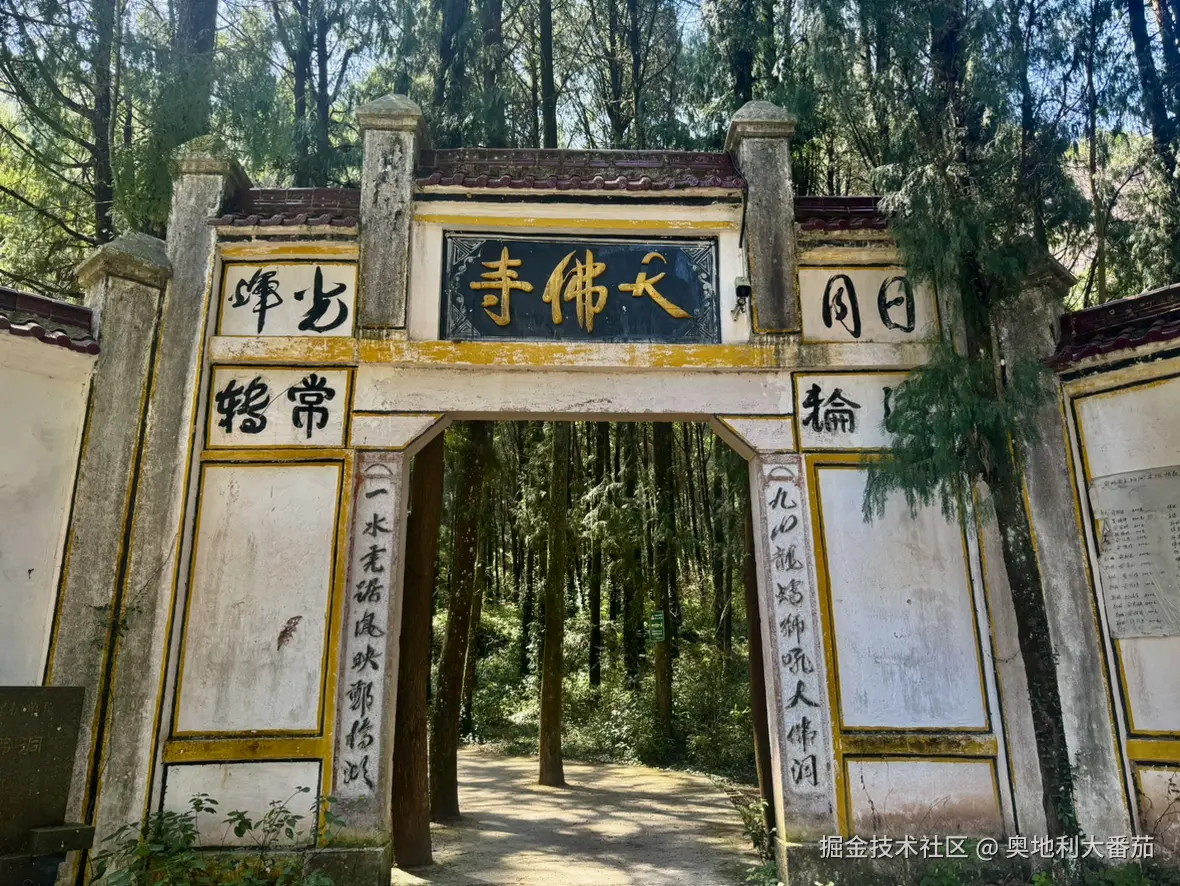 奥地利大番茄于2025-03-24 10:28发布的图片