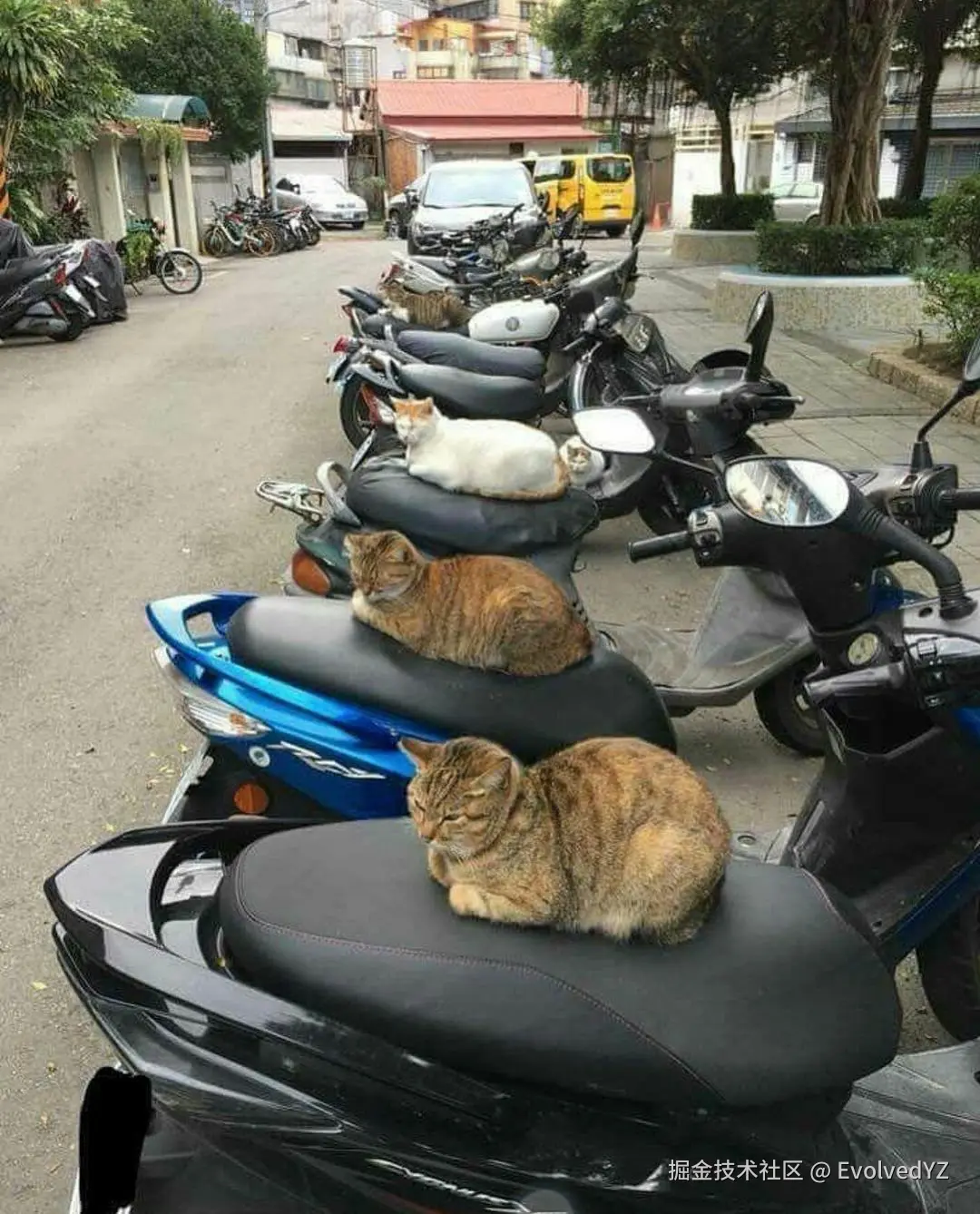 EvolvedYZ于2024-08-11 22:51发布的图片