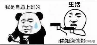 双花秋梨膏于2025-07-17 10:25发布的图片
