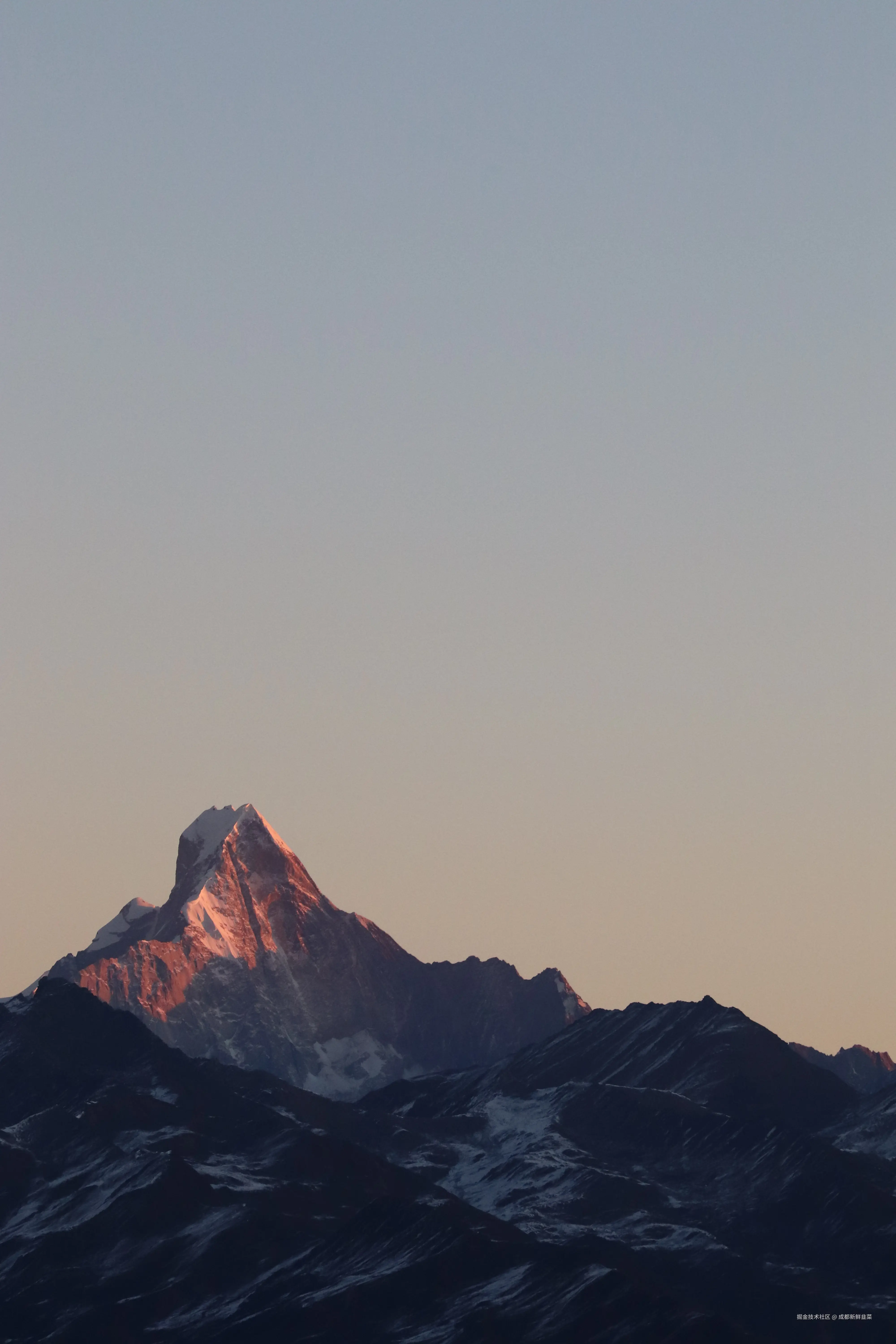 成都新鲜韭菜于2024-12-02 10:02发布的图片