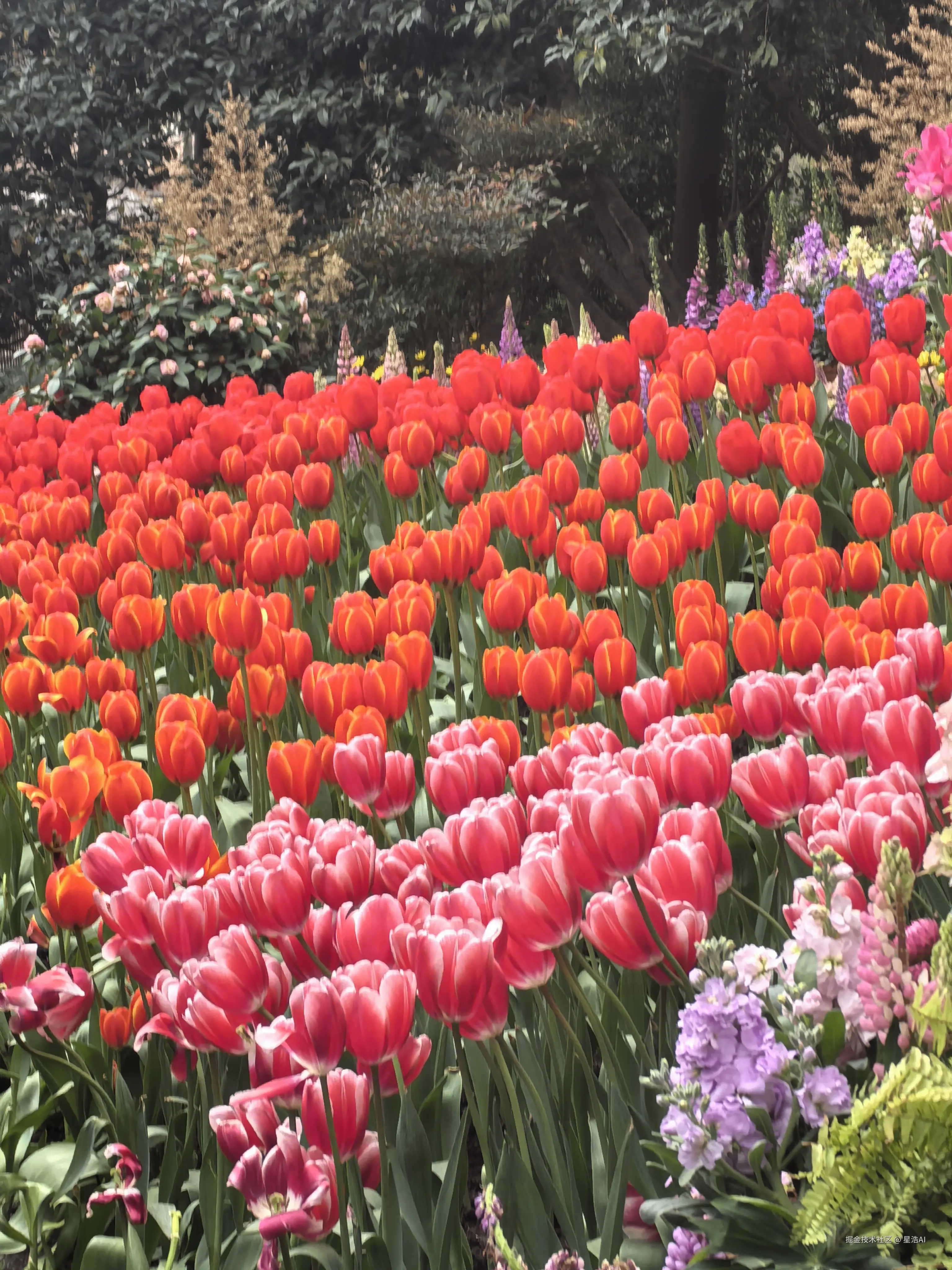 星浩AI于2026-03-22 12:00发布的图片