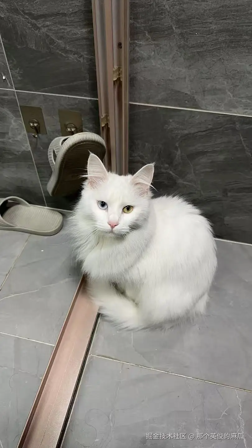 那个英俊的麻瓜于2025-04-10 09:20发布的图片