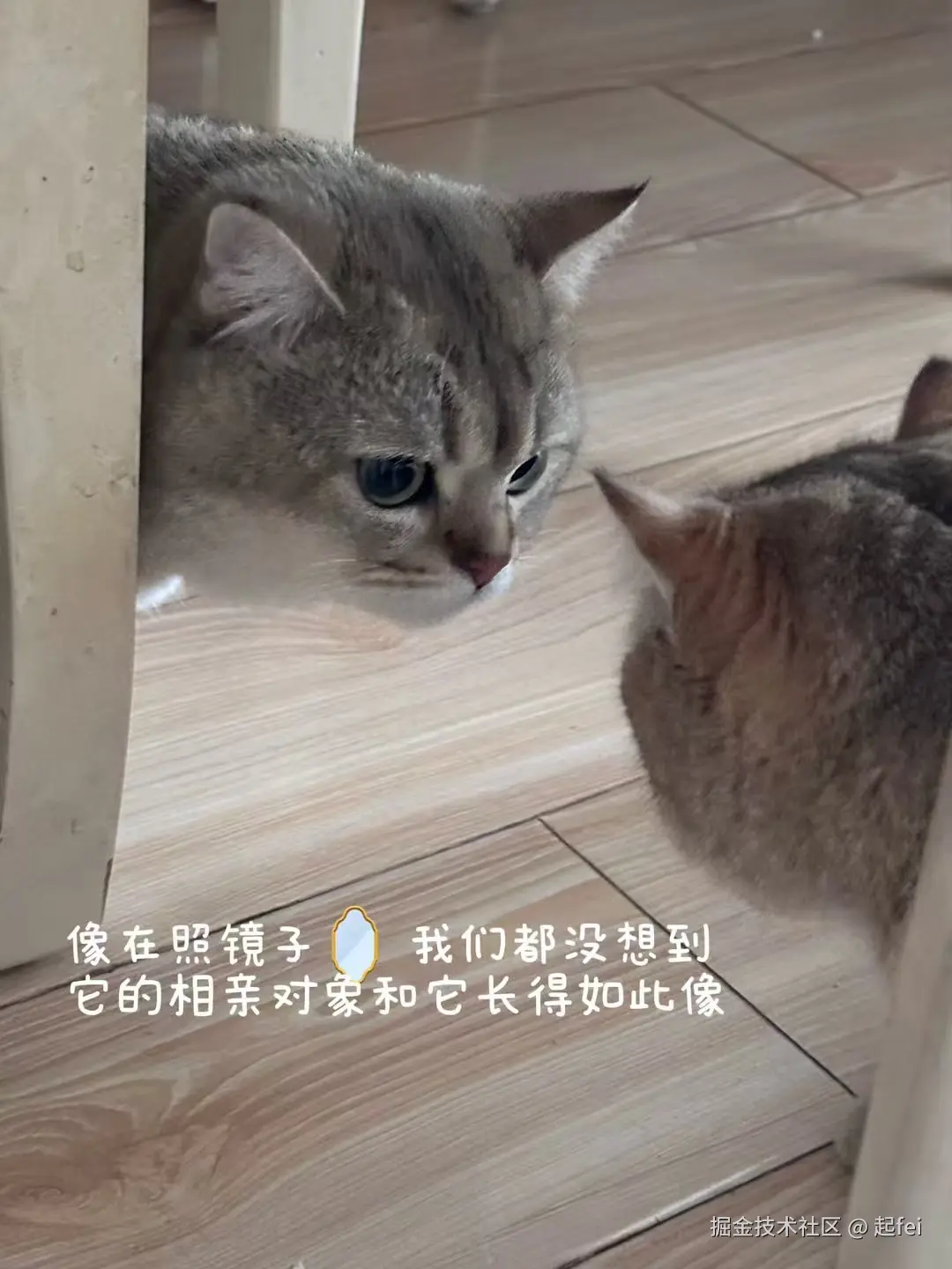 起fei于2025-03-10 11:02发布的图片