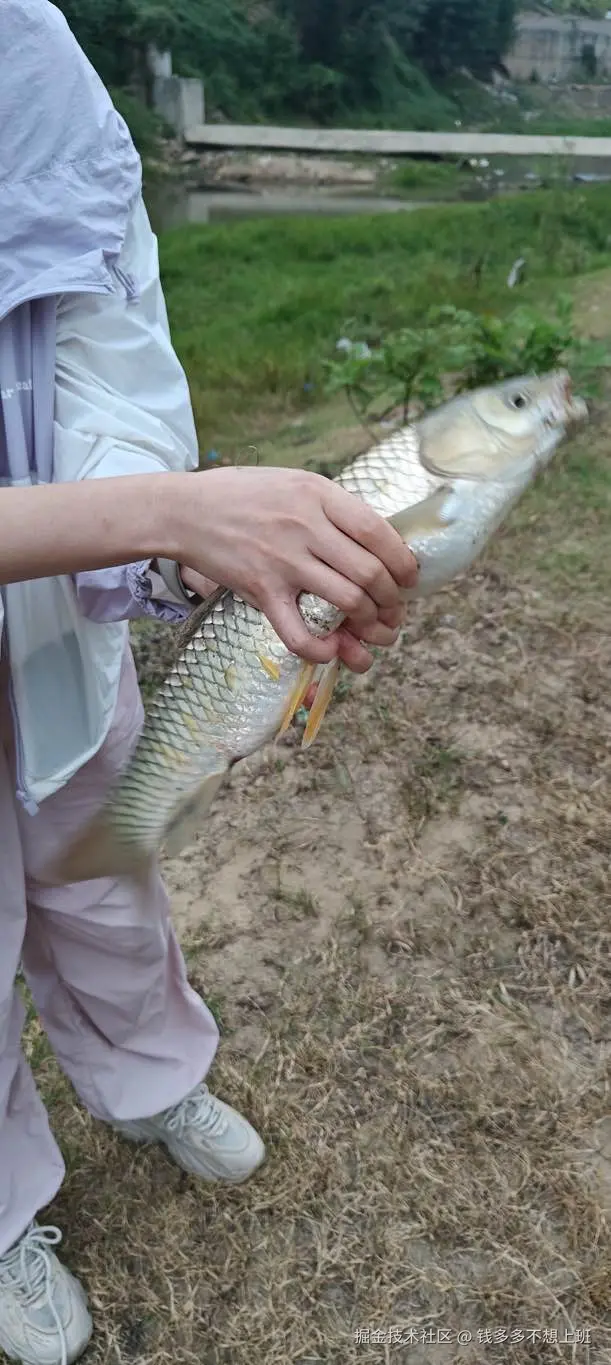 钱多多不想上班于2024-09-18 15:04发布的图片