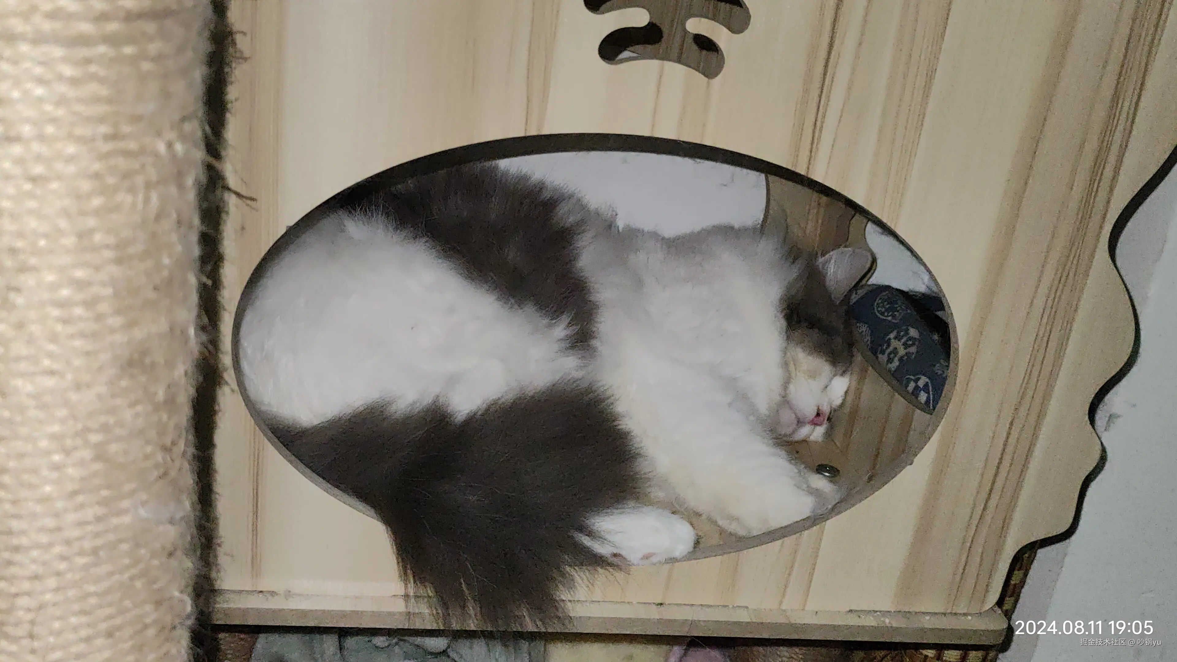 吵钢yu于2024-10-16 12:33发布的图片