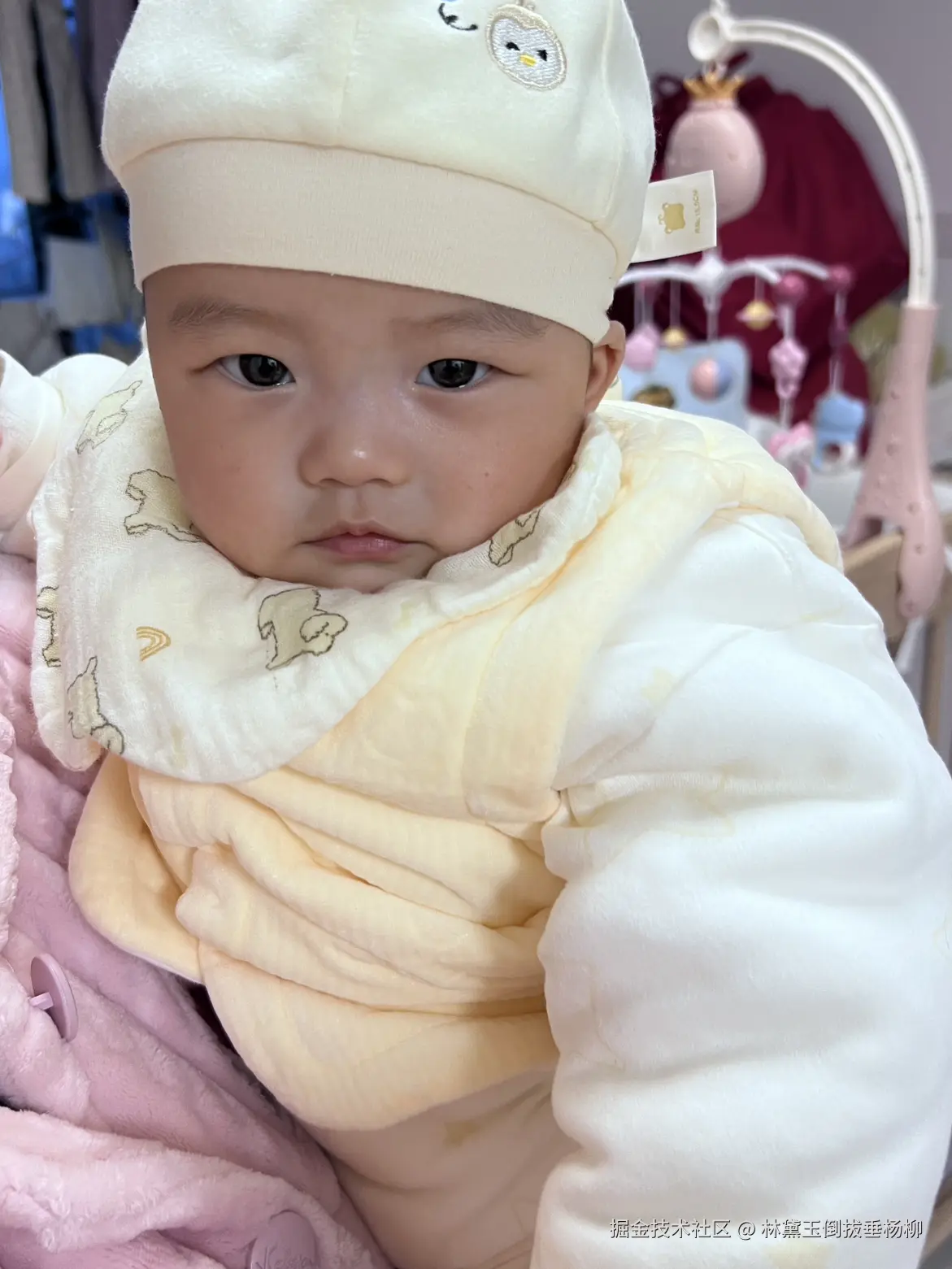 林黛玉倒拔垂杨柳于2026-03-28 13:52发布的图片