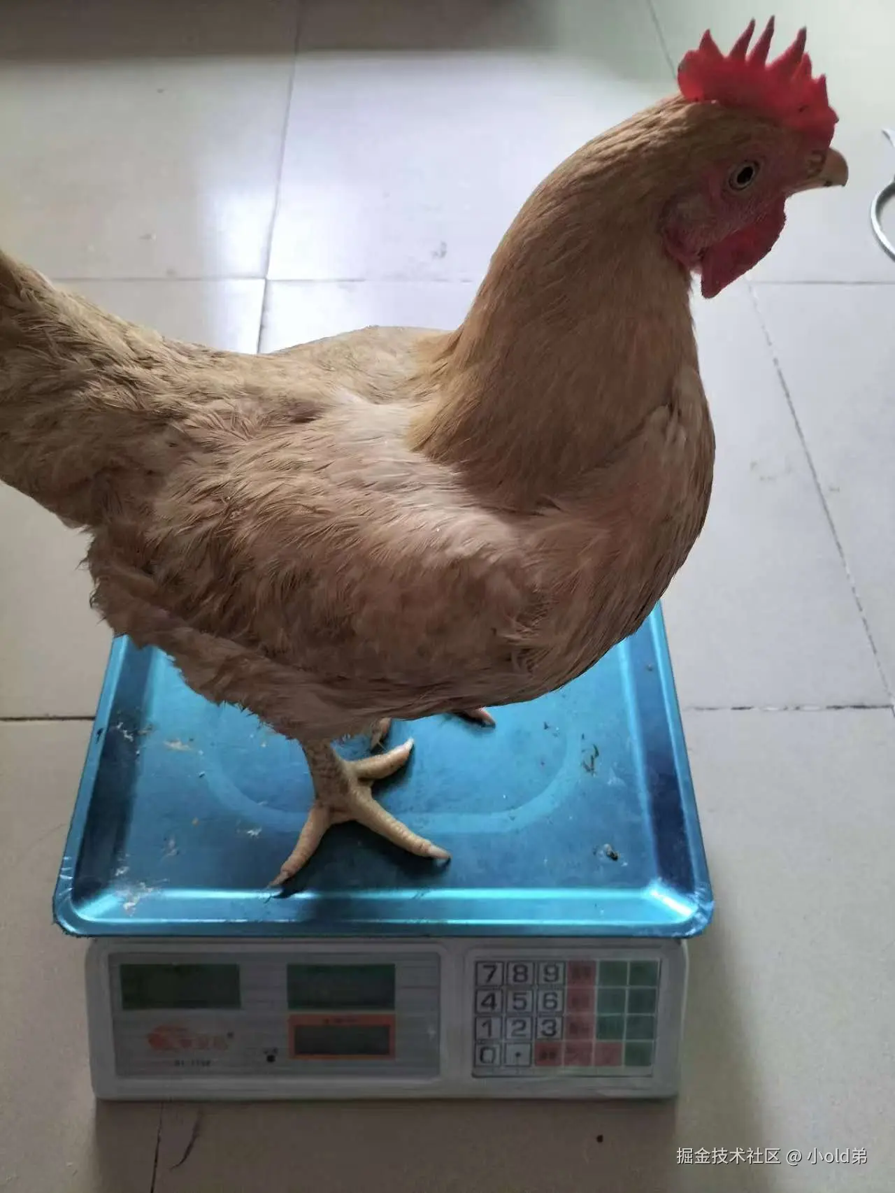 小old弟于2025-08-02 10:24发布的图片