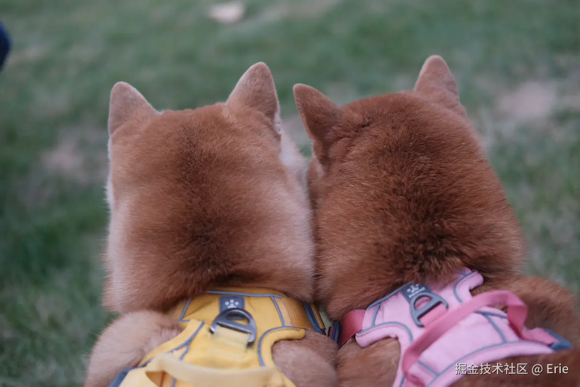 Erie于2024-12-24 10:18发布的图片