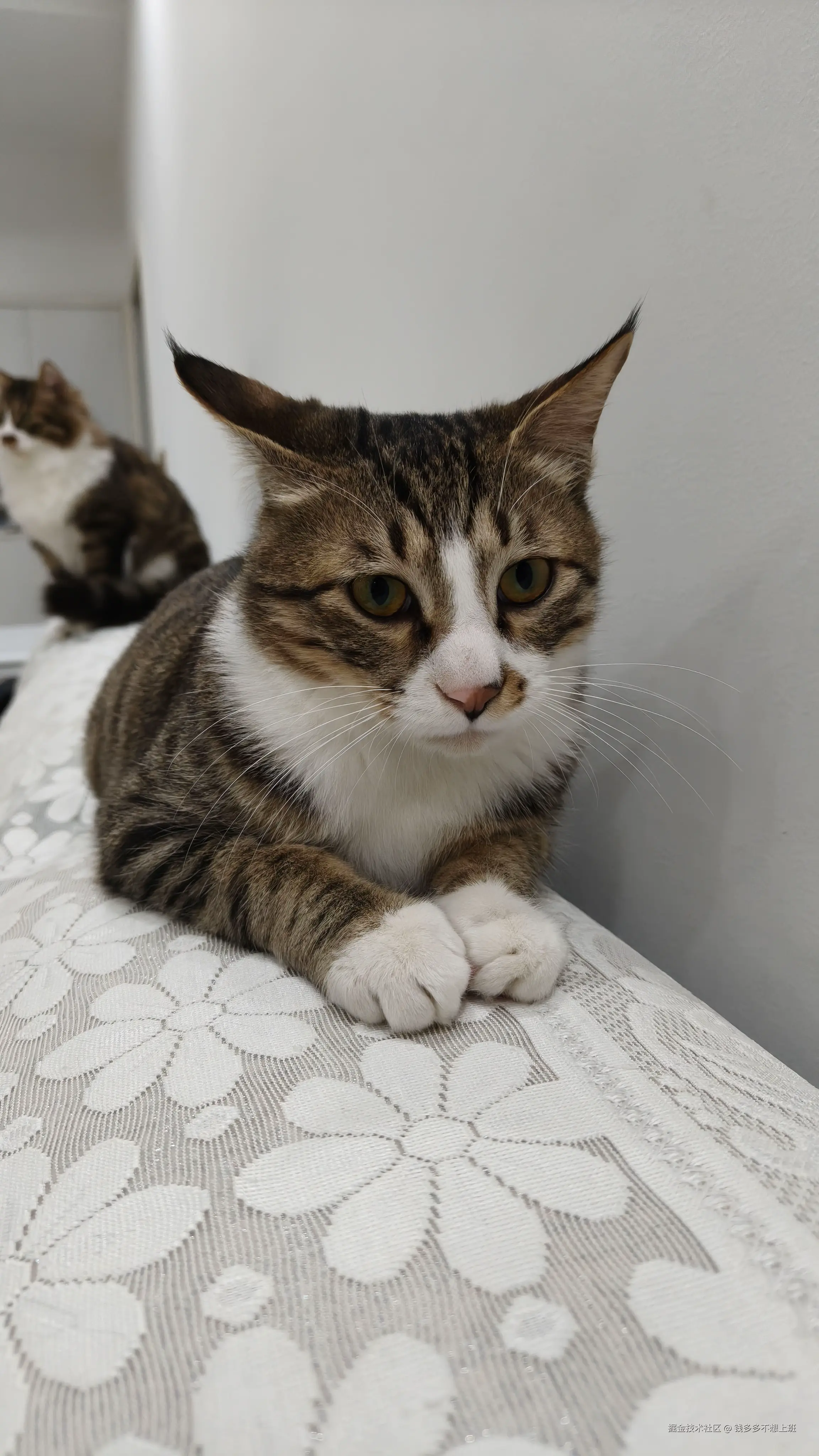 钱多多不想上班于2026-03-03 11:31发布的图片