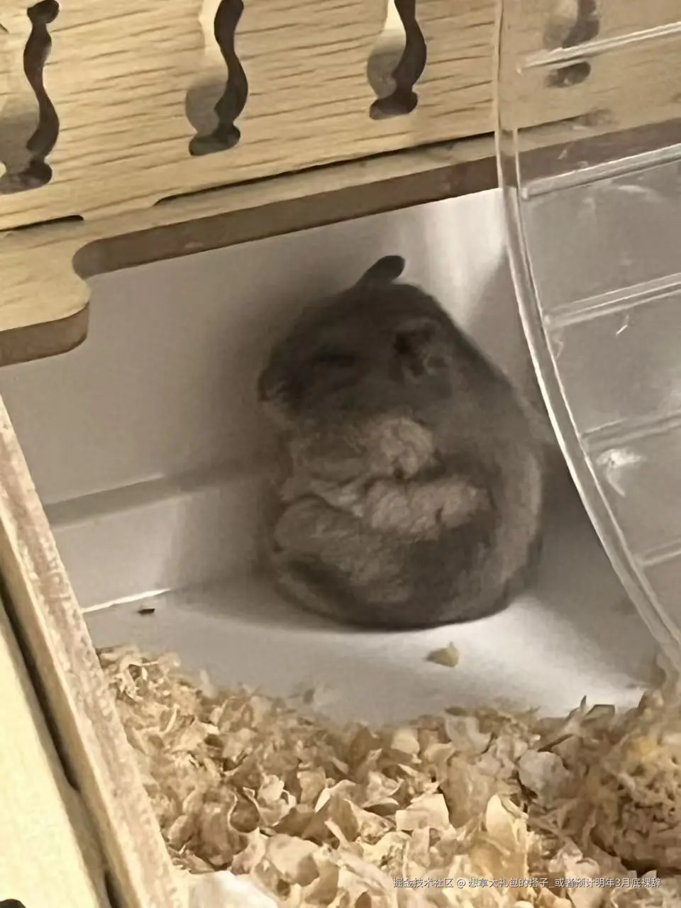 想拿大礼包的搭子_或者预计明年3月底裸辞于2025-09-02 09:13发布的图片