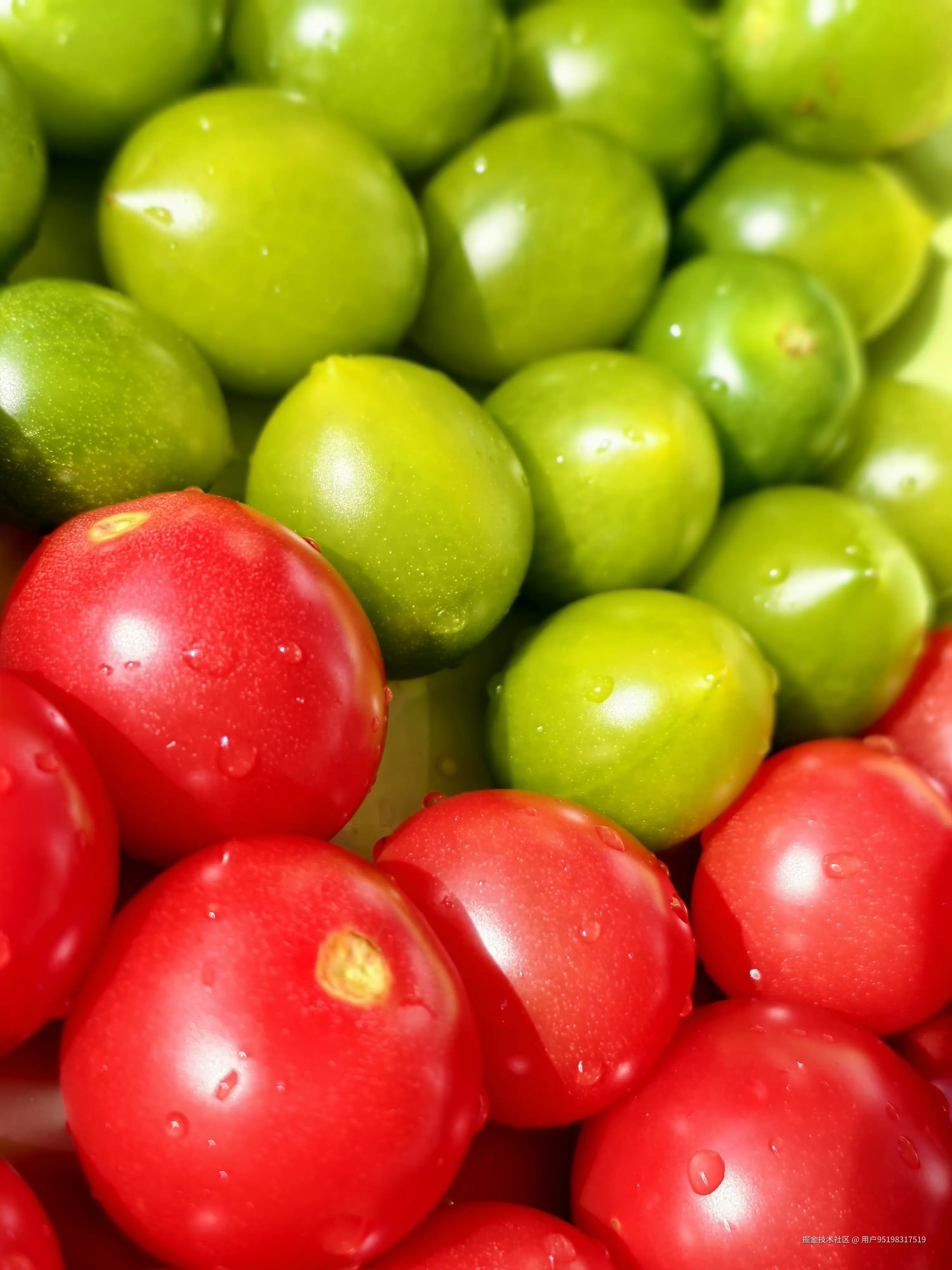 用户95198317519于2026-01-24 15:20发布的图片