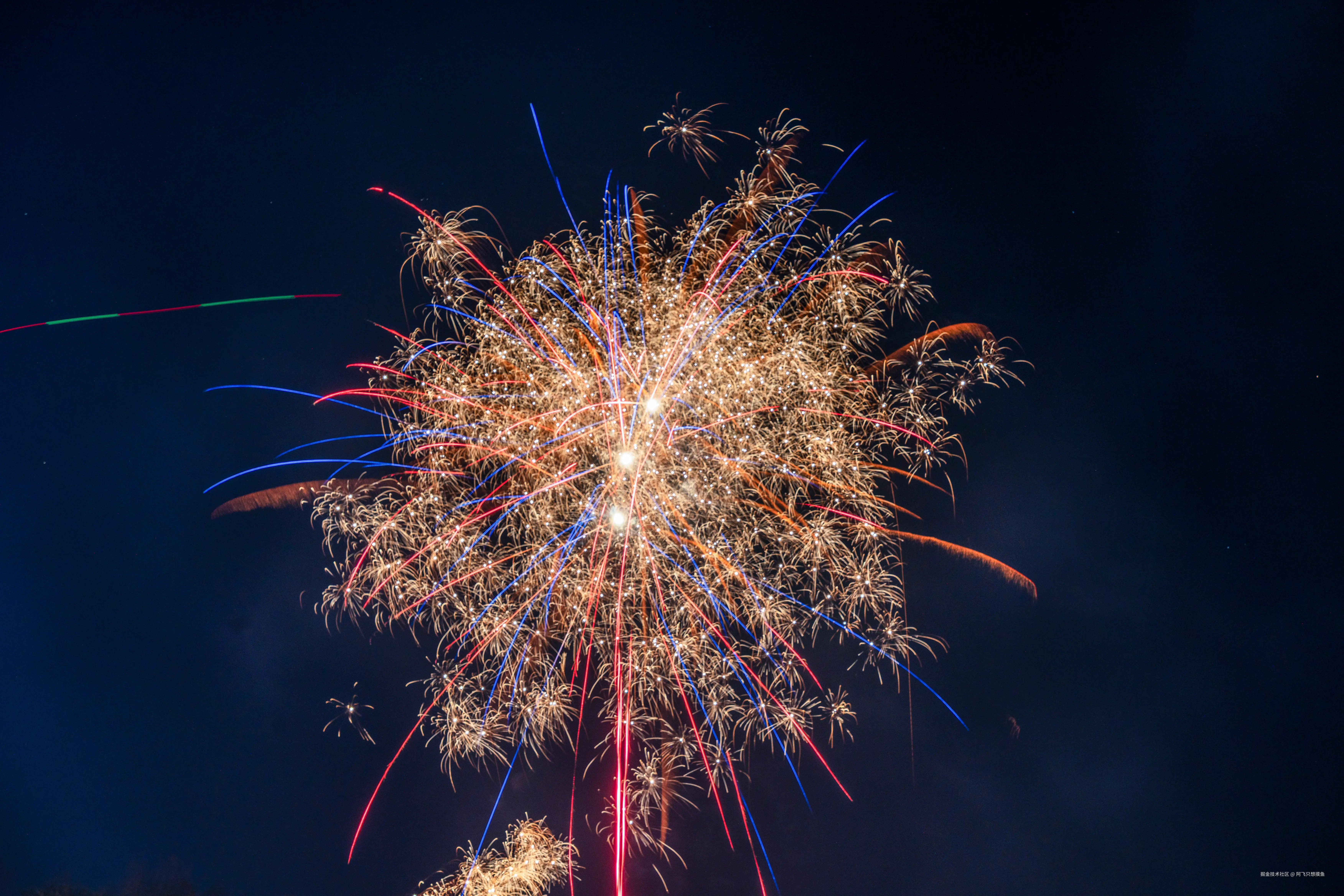 阿飞只想摸鱼于2026-02-11 14:40发布的图片