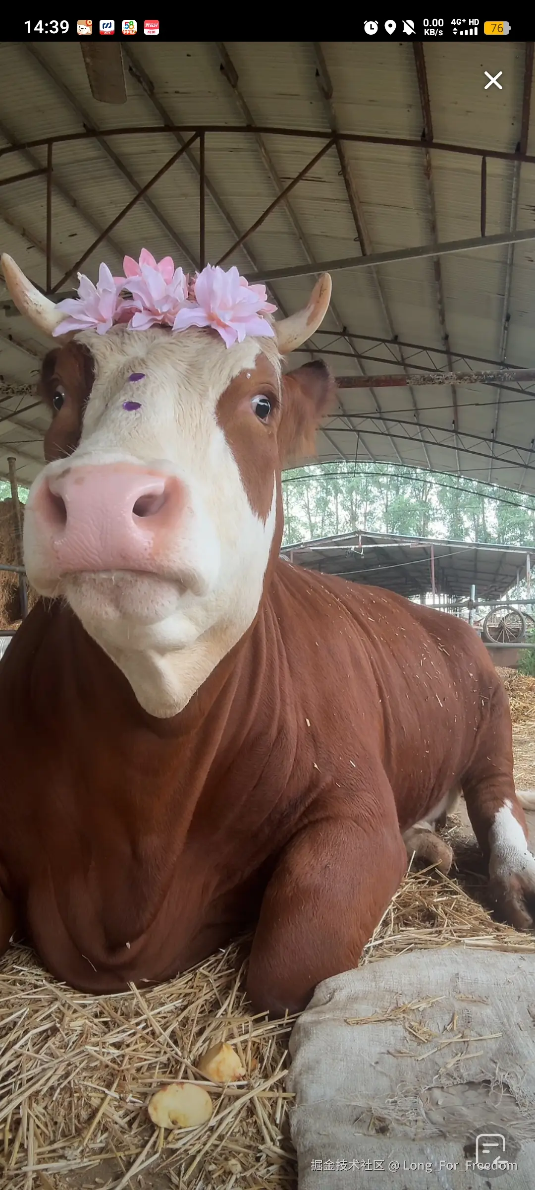 Long_For_Freedom于2025-06-27 17:27发布的图片