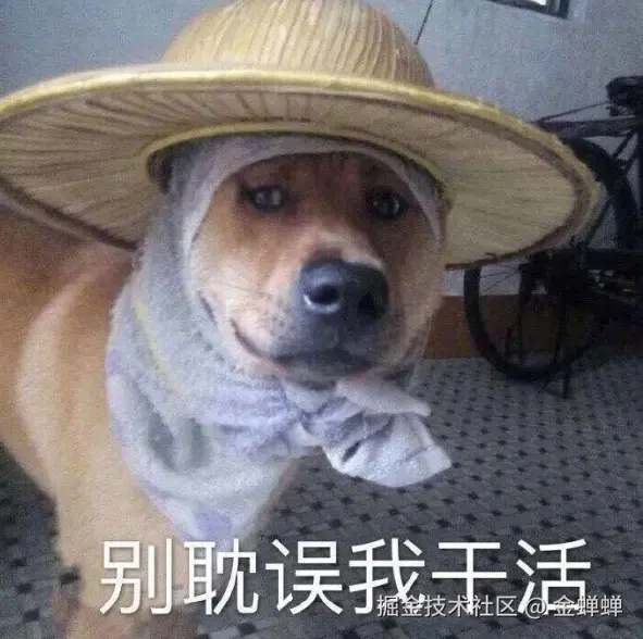 金蝉蝉于2025-08-26 13:32发布的图片