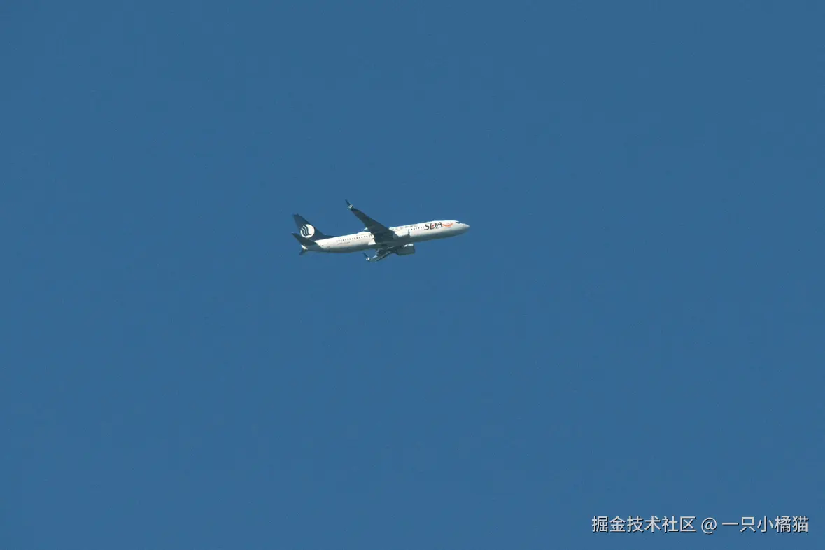 一只小橘猫于2025-11-03 15:15发布的图片