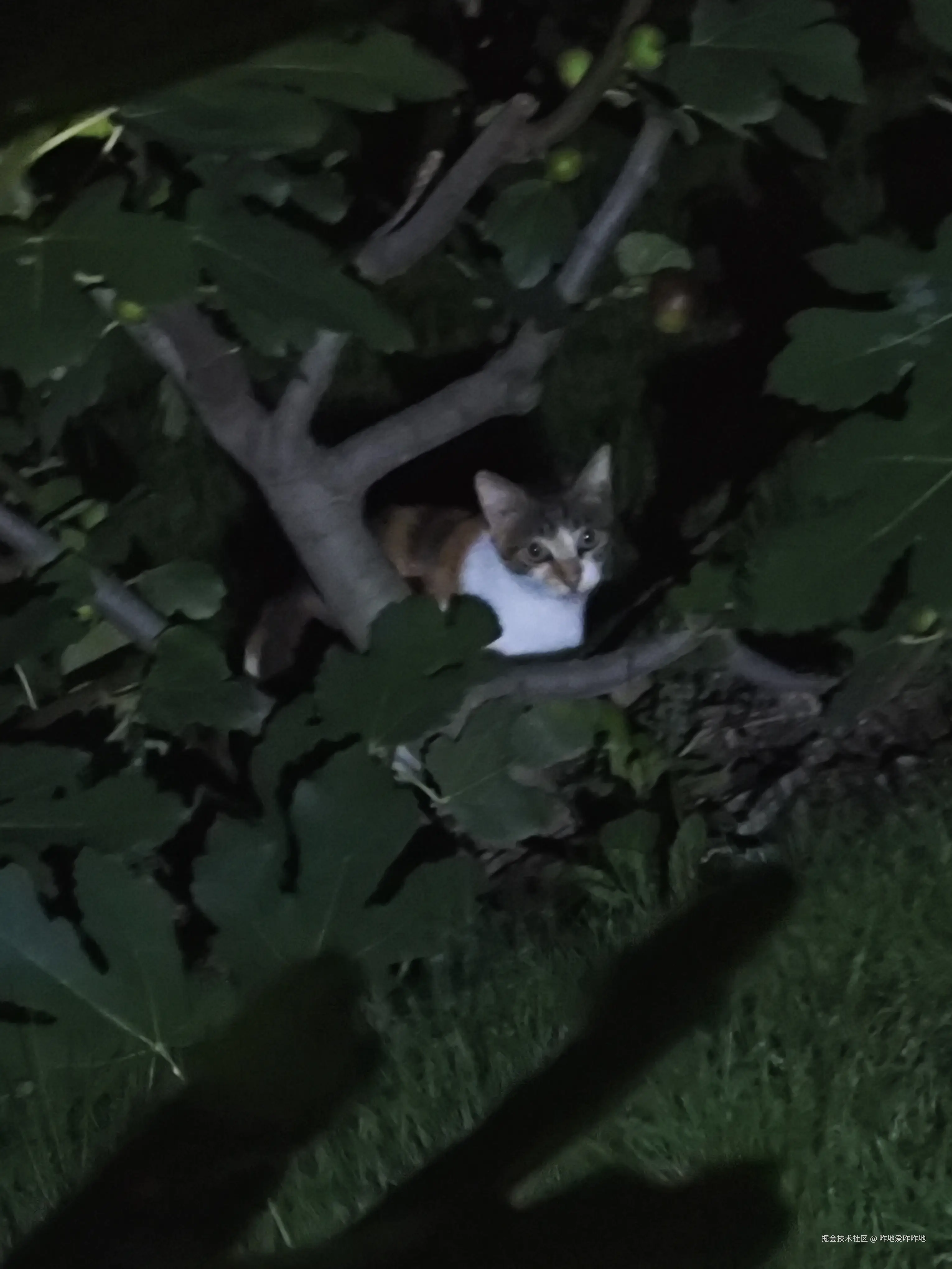 咋地爱咋咋地于2024-07-17 09:33发布的图片