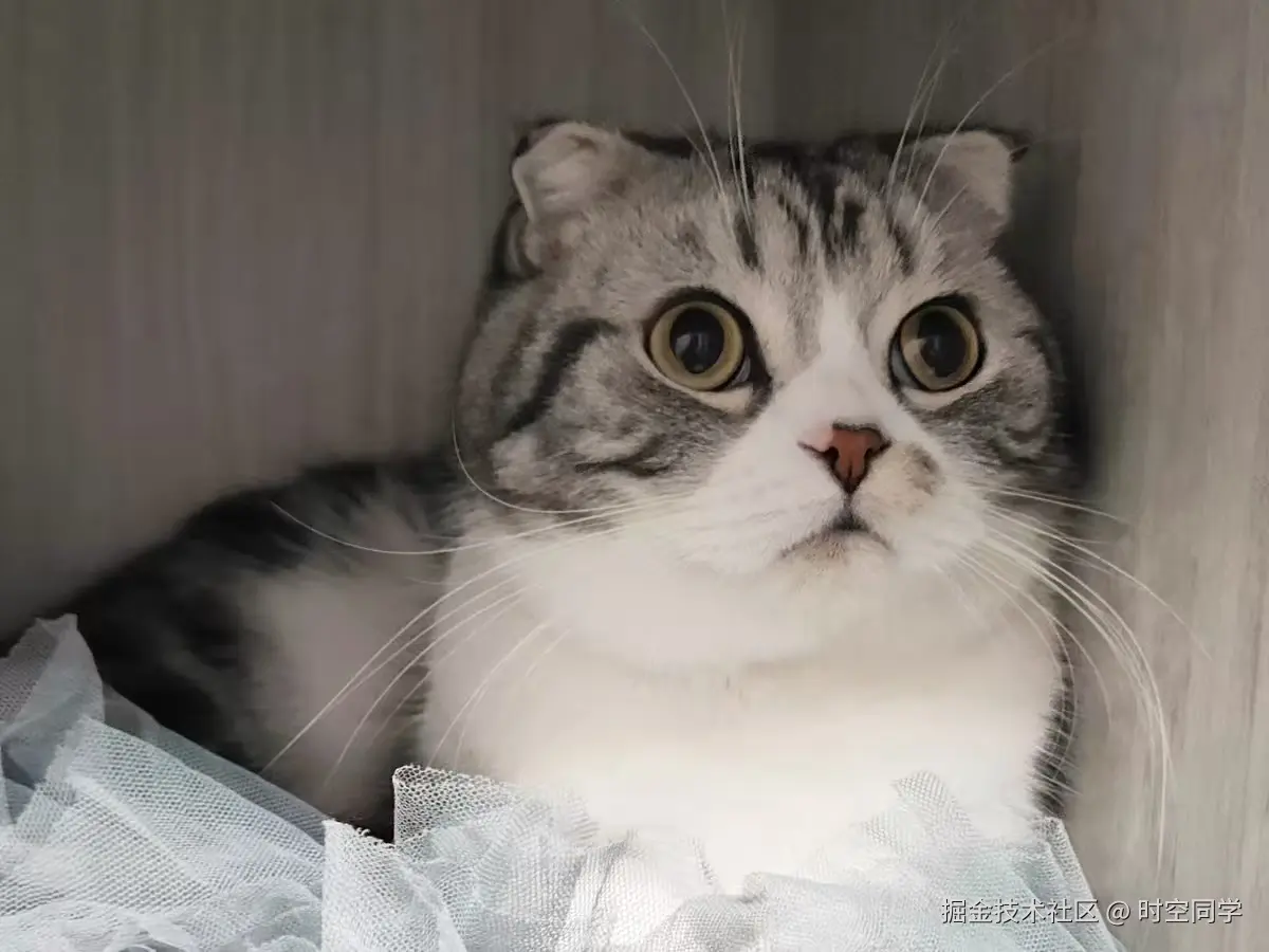 时空同学于2026-01-09 14:23发布的图片