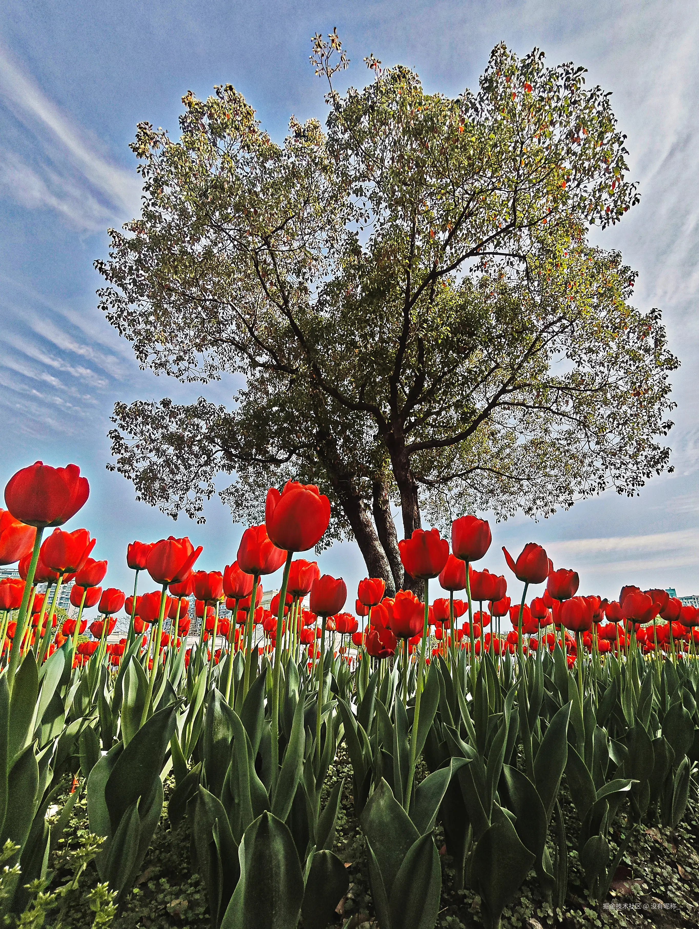 没有昵称_于2025-03-31 14:27发布的图片