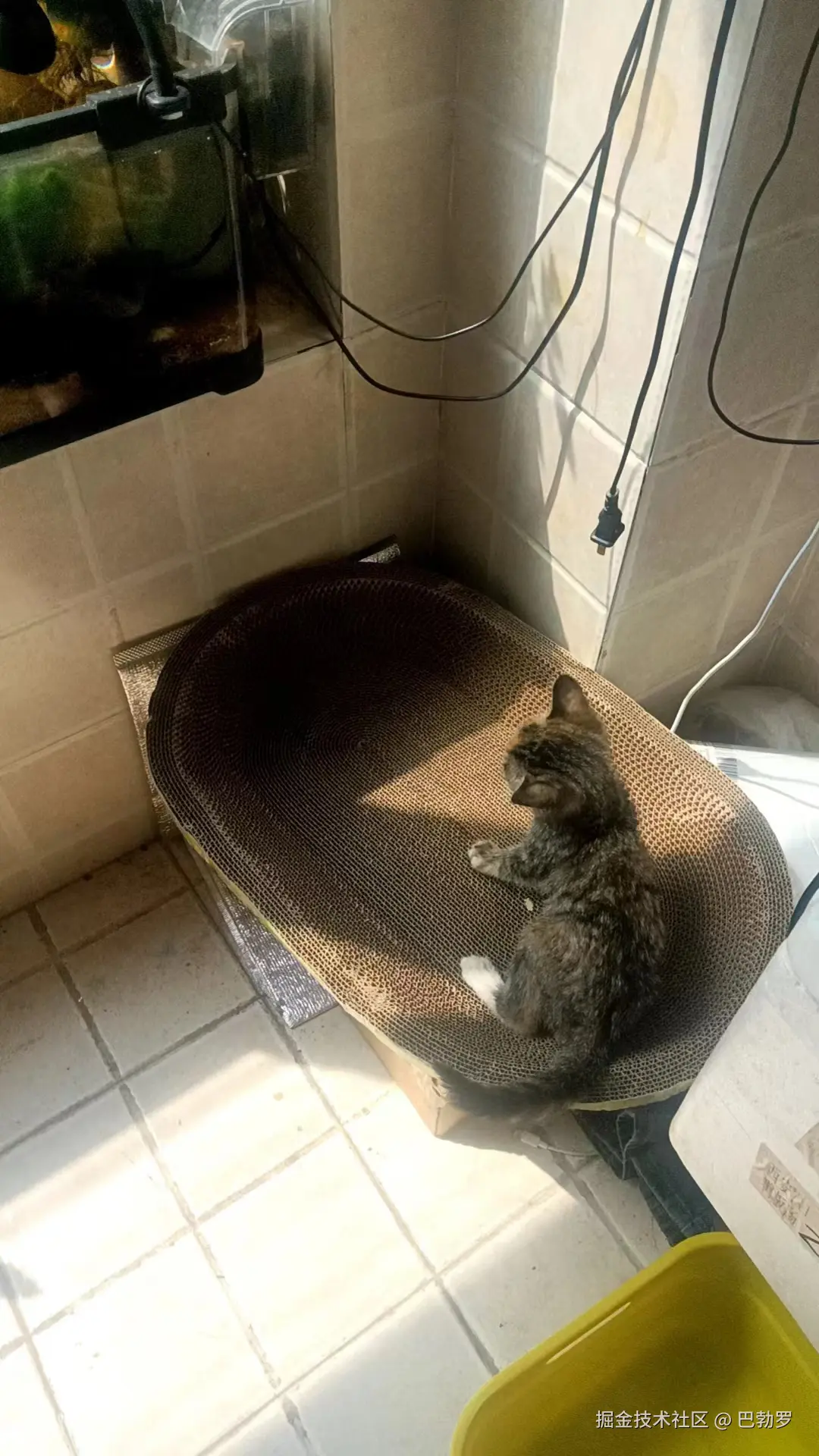 巴勃罗于2025-03-28 11:15发布的图片