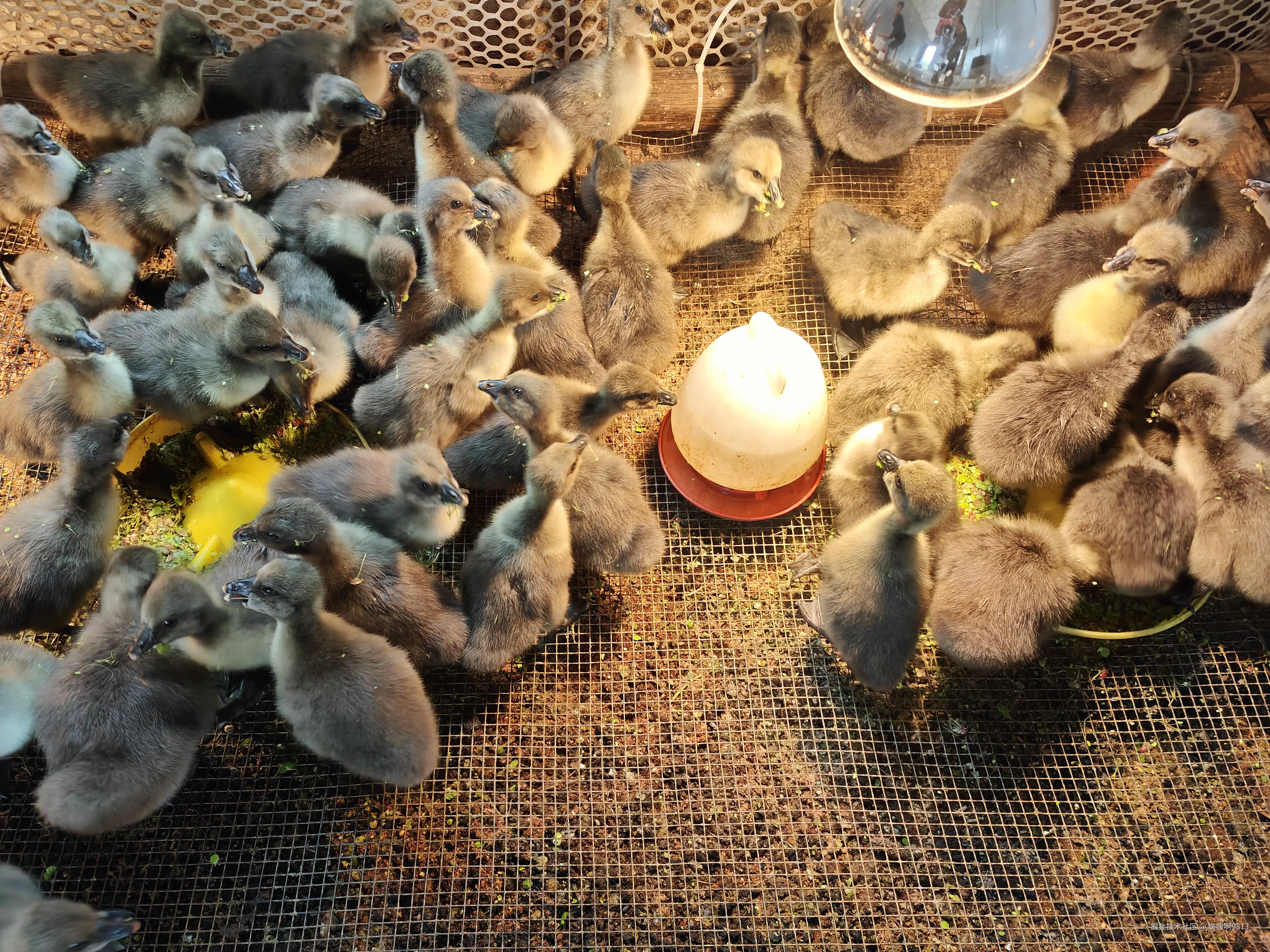 媛媛啊9813于2026-03-28 19:57发布的图片