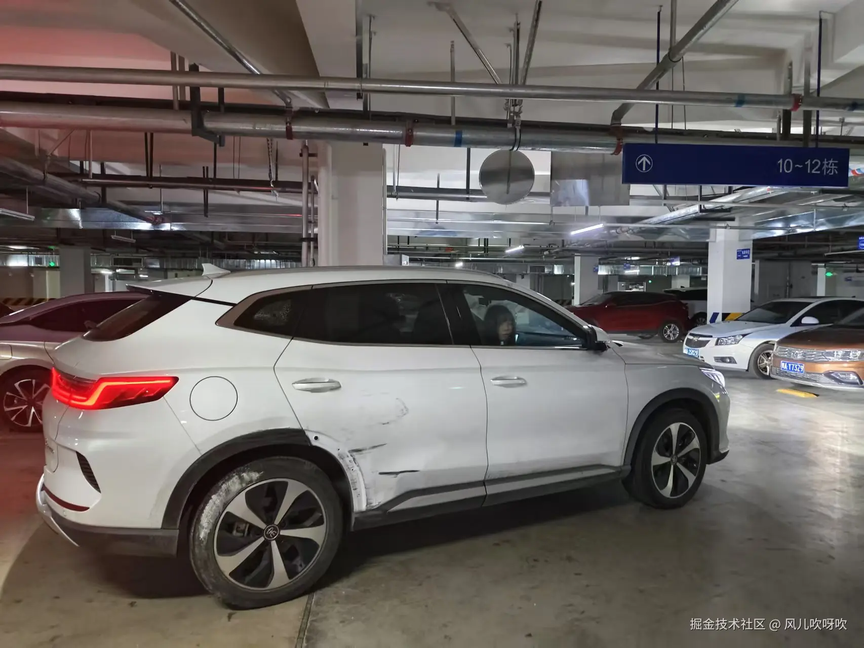 风儿吹呀吹于2024-10-10 11:01发布的图片