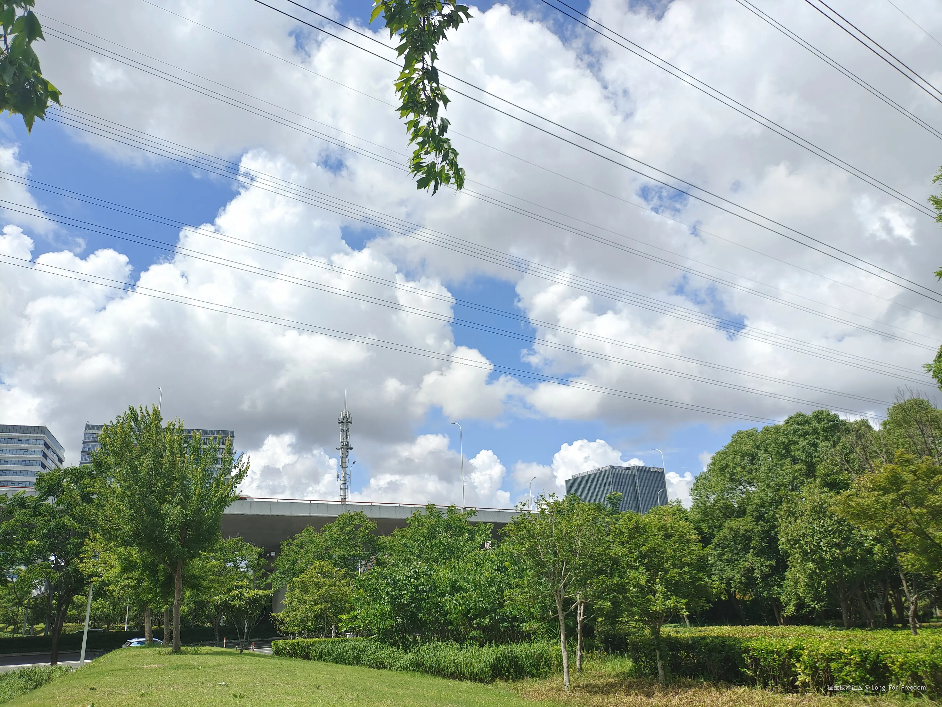 Long_For_Freedom于2025-07-09 13:52发布的图片