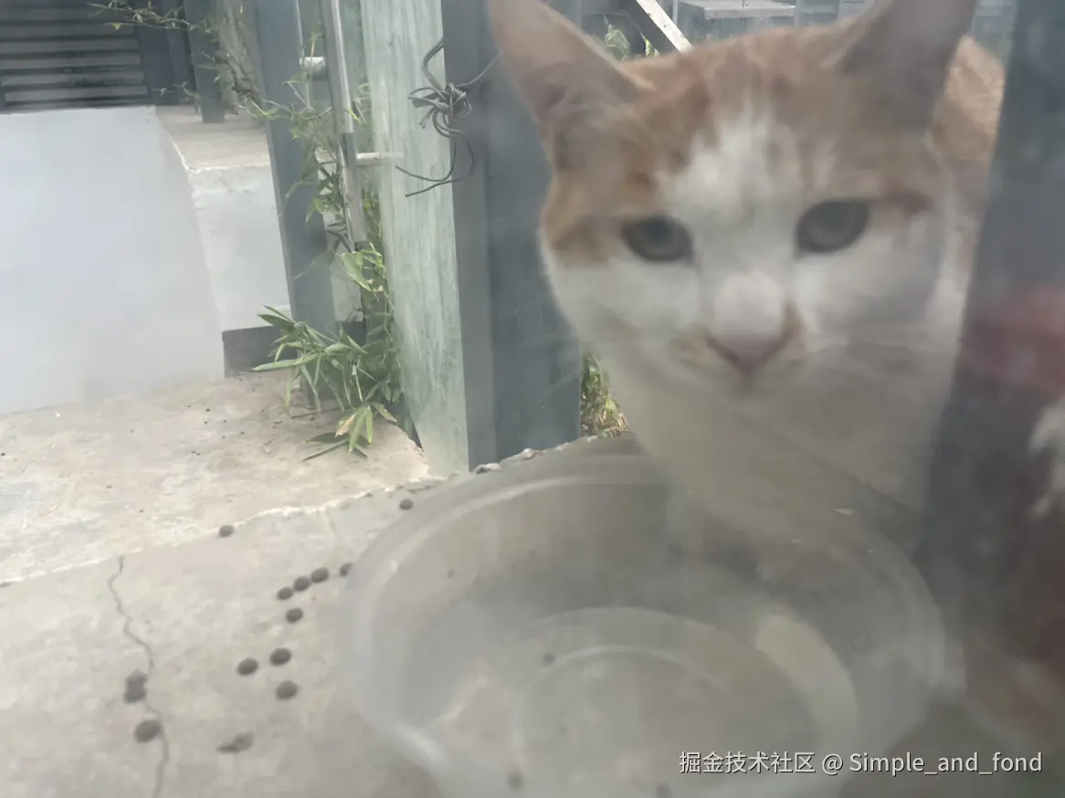 Simple_and_fond于2025-09-10 08:17发布的图片
