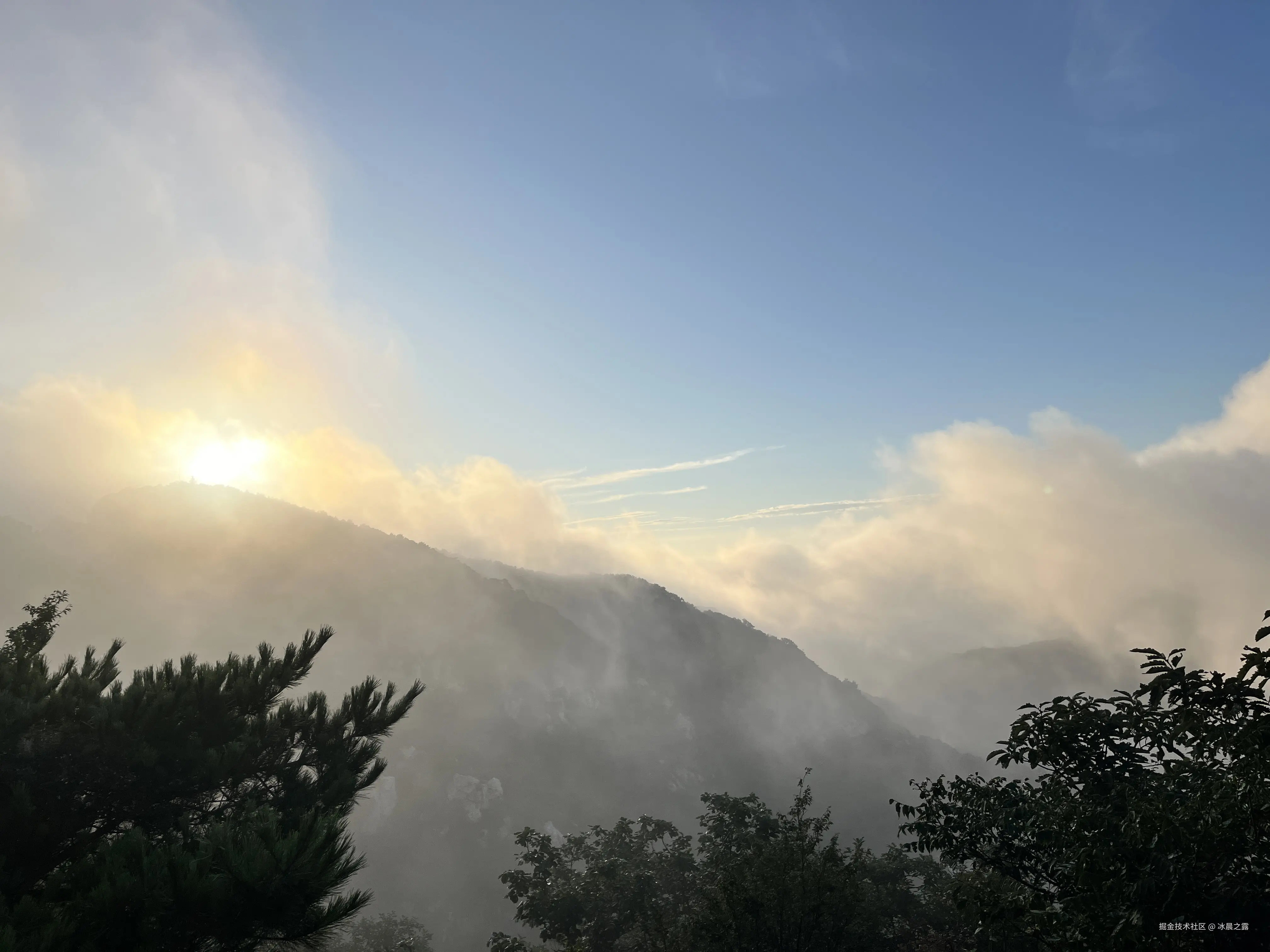 冰晨之露于2024-08-05 08:48发布的图片