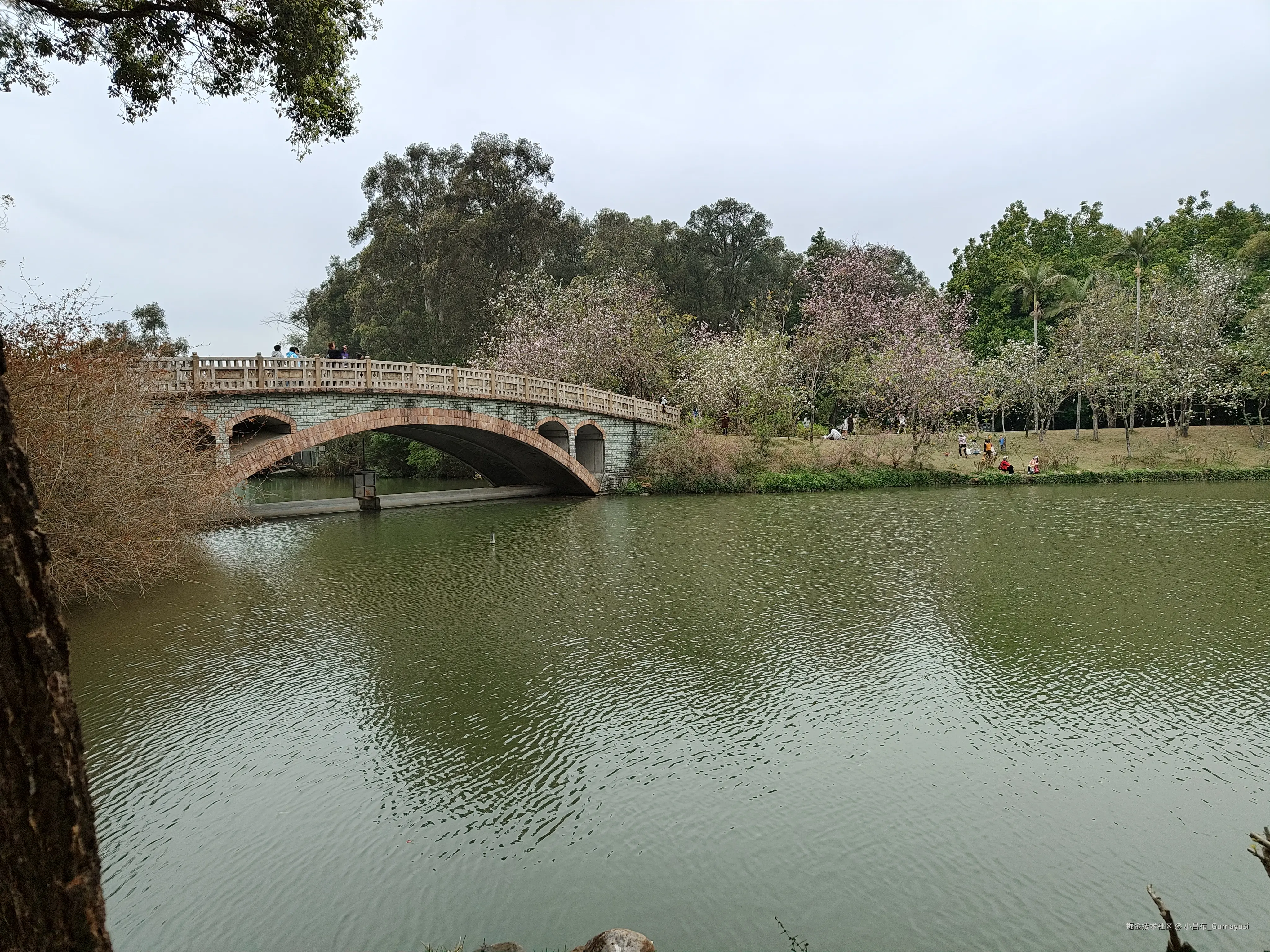 小吕布_Gumayusi于2025-03-10 09:53发布的图片