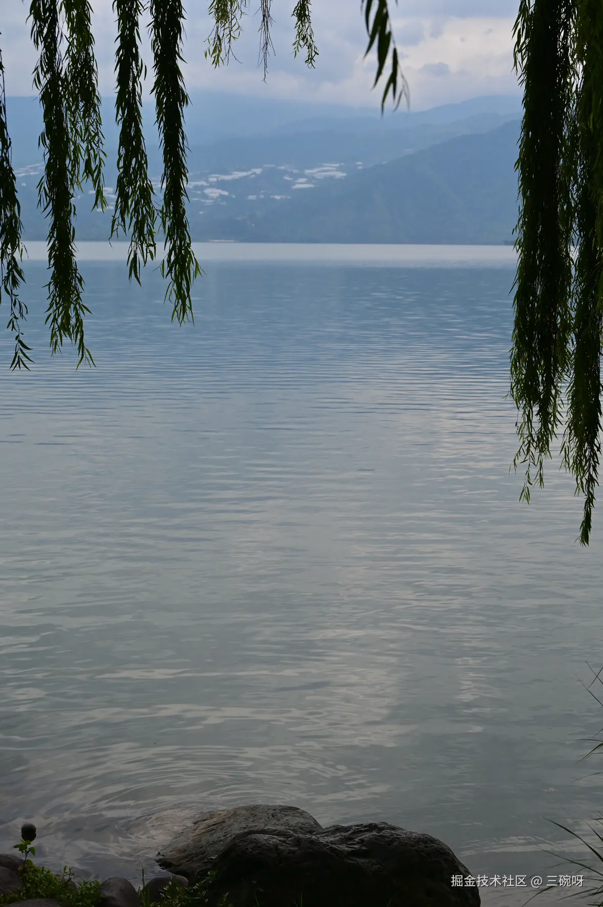 三碗呀于2025-08-11 09:51发布的图片