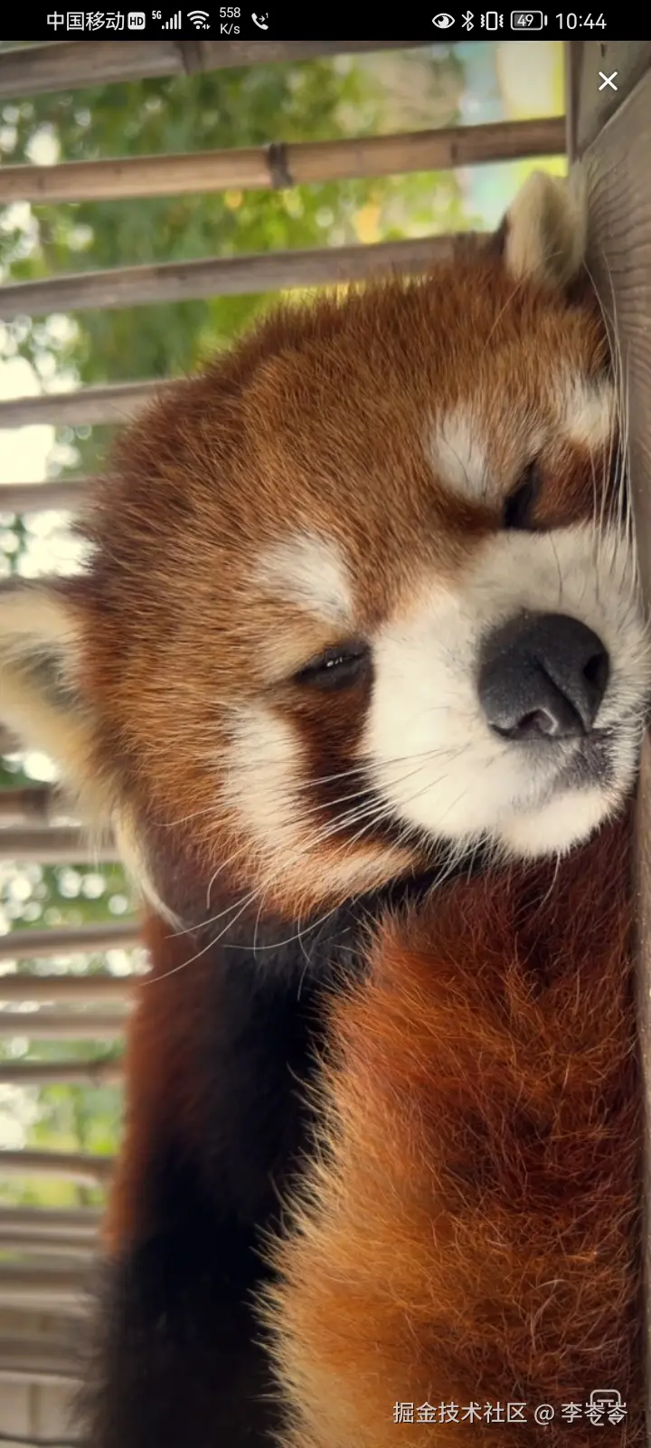 李岑岑于2024-10-06 22:32发布的图片