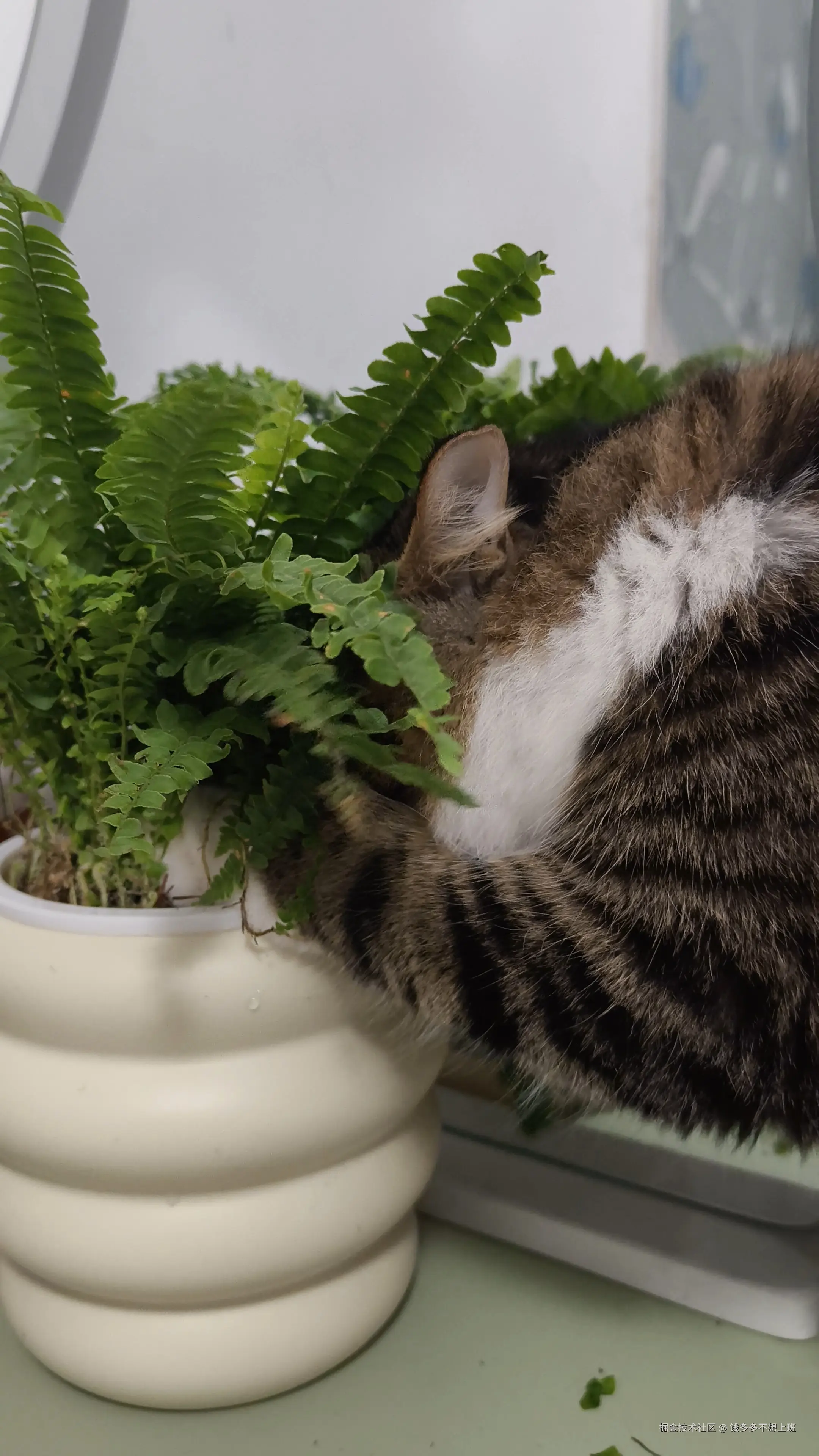 钱多多不想上班于2025-12-25 16:28发布的图片