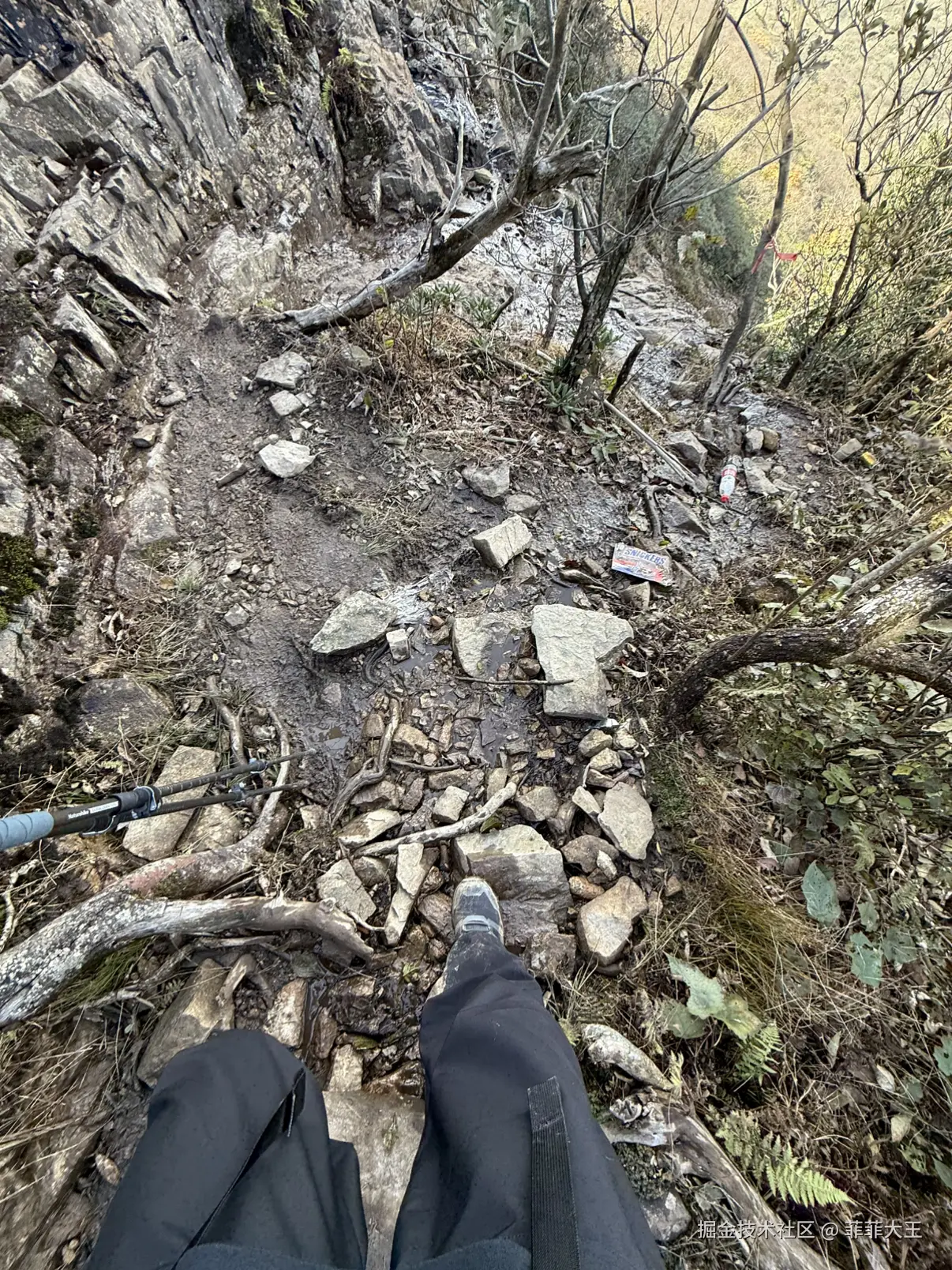 菲菲大王于2025-11-03 03:04发布的图片