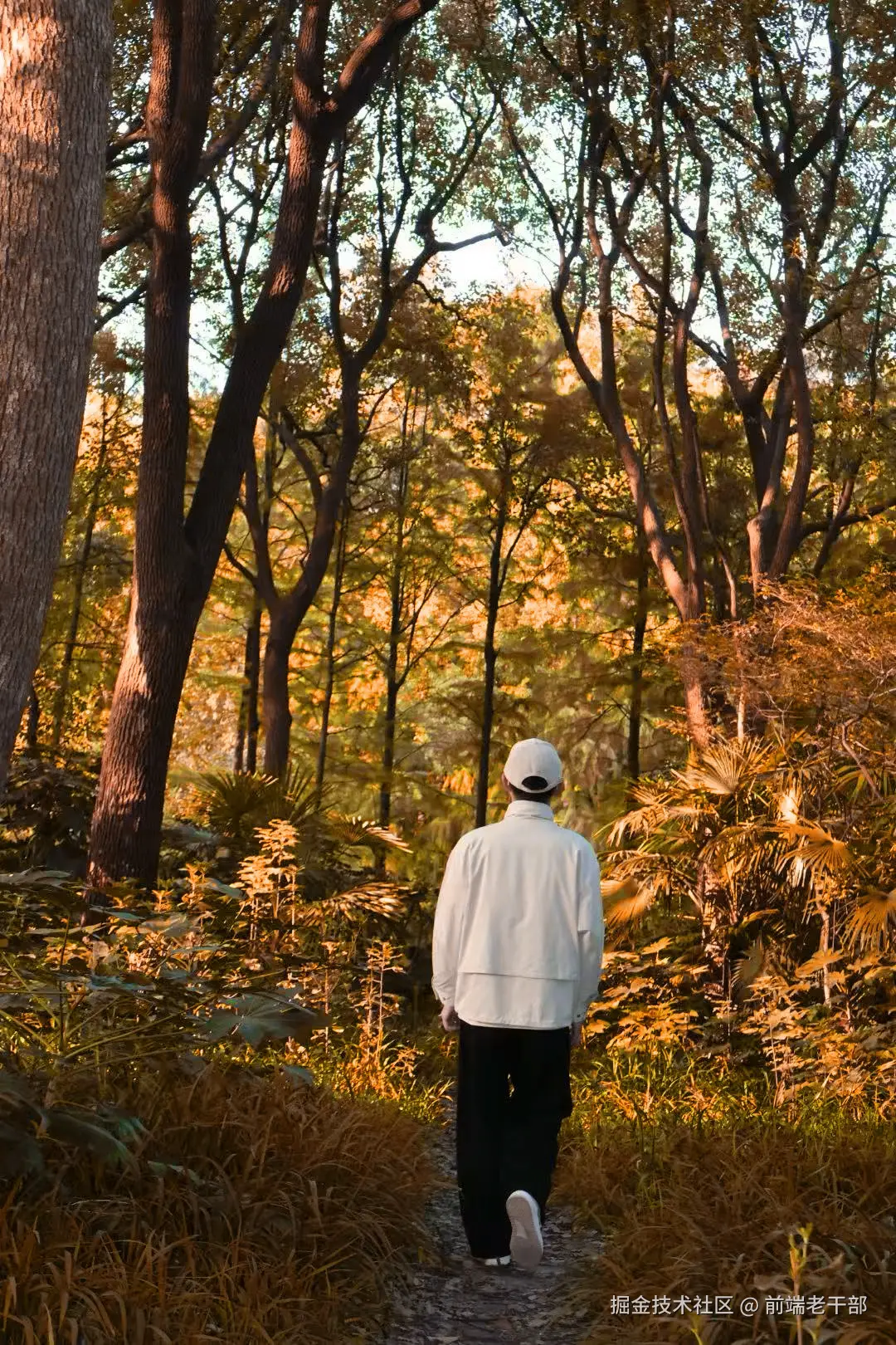 前端老干部于2025-11-17 09:16发布的图片
