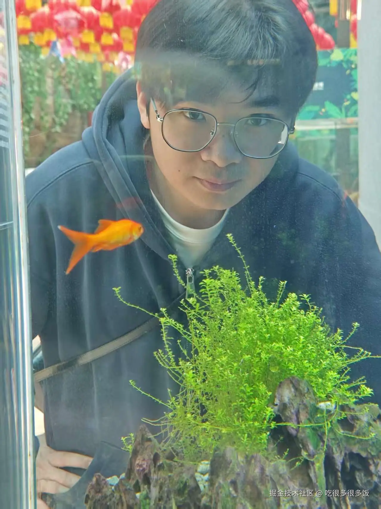 吃很多很多饭于2026-02-26 15:14发布的图片