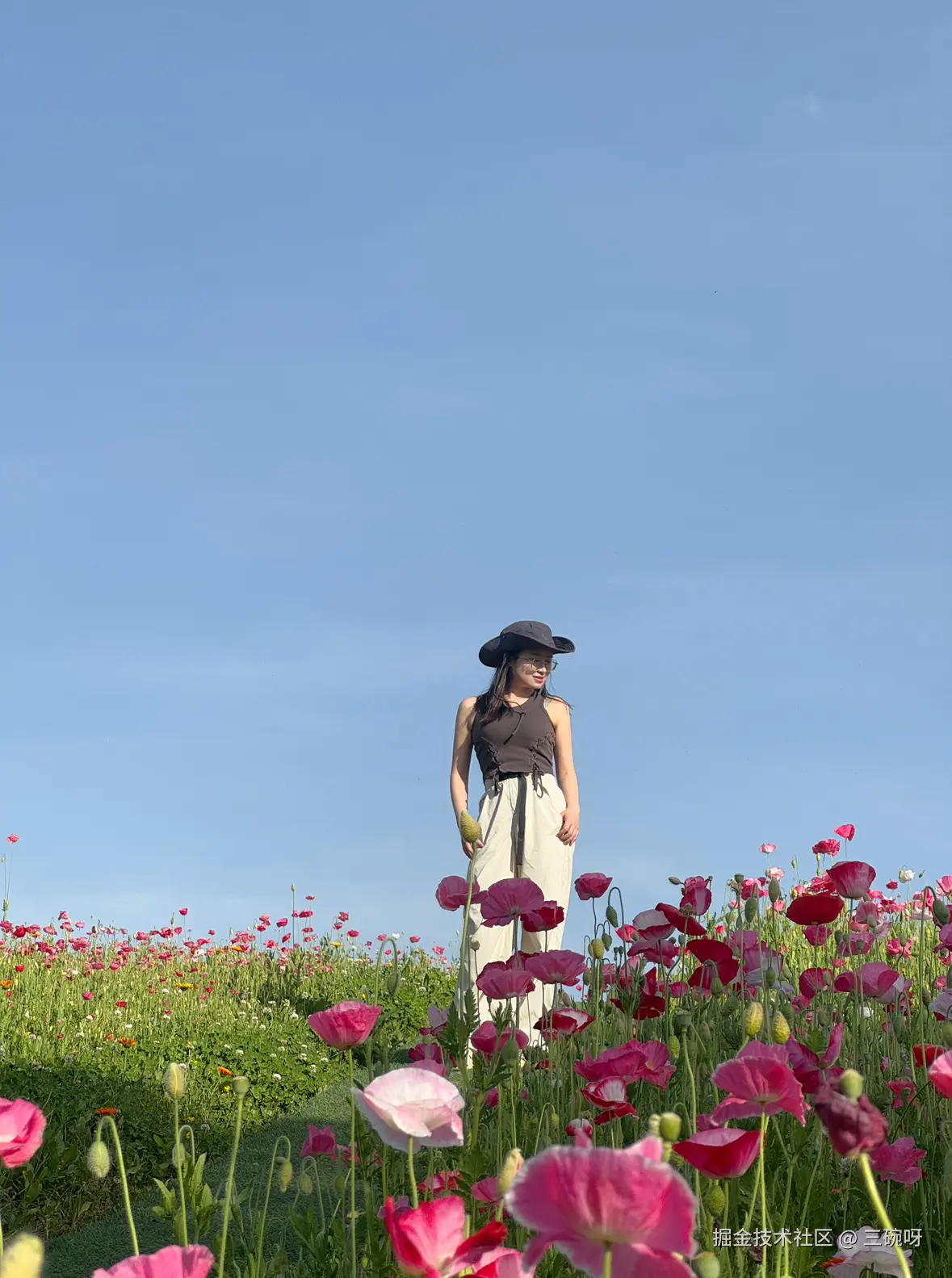 三碗呀于2025-05-08 07:17发布的图片