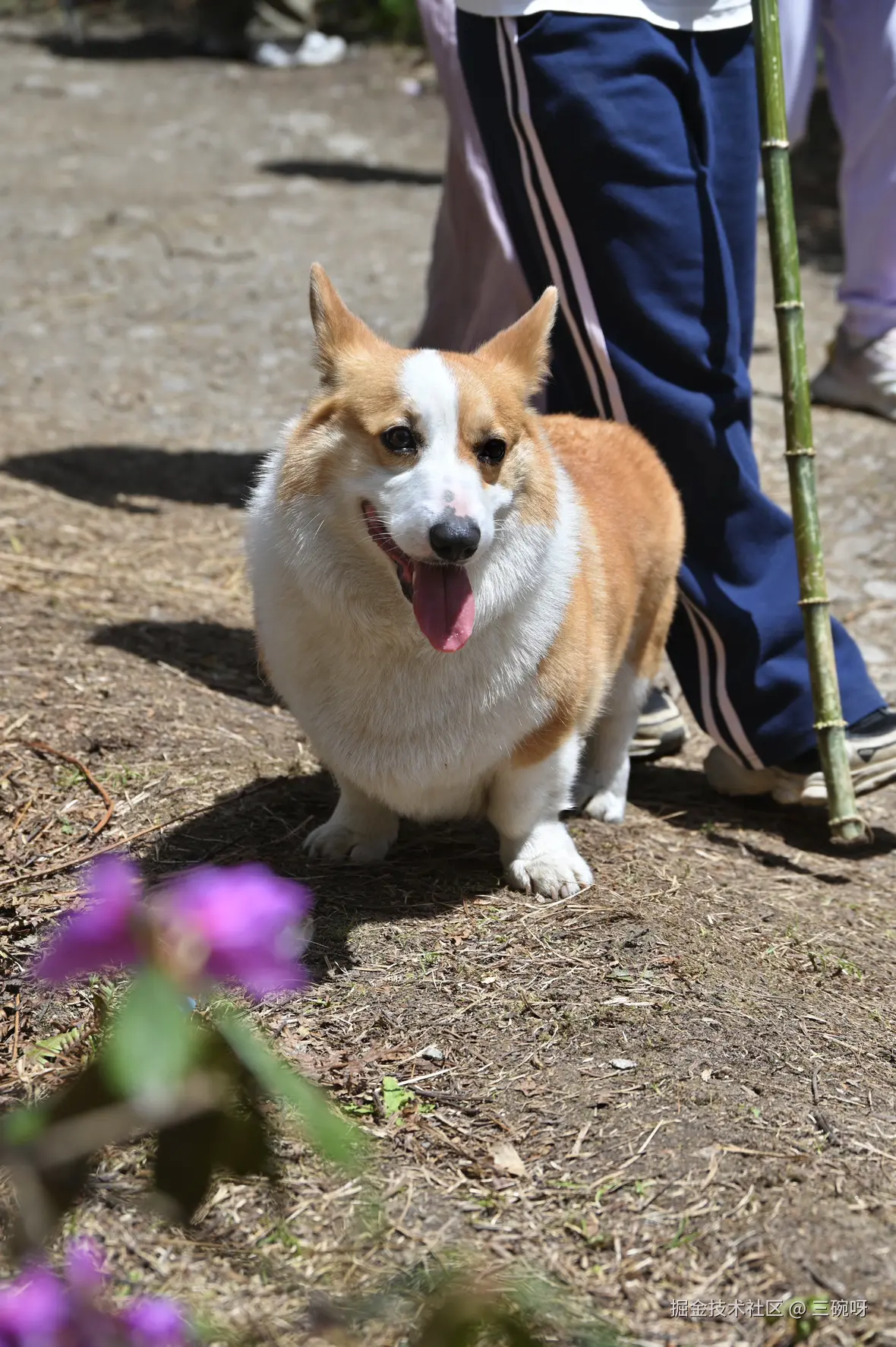 三碗呀于2025-04-22 10:05发布的图片