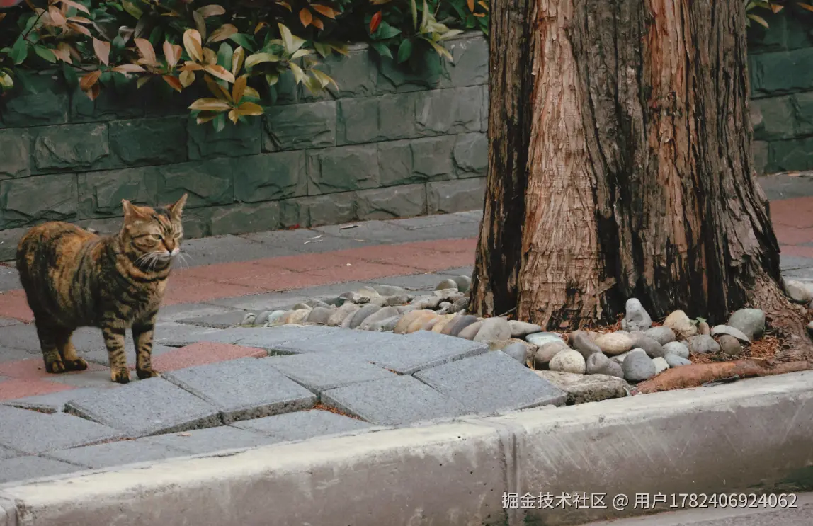 用户1782406924062于2026-04-08 10:09发布的图片