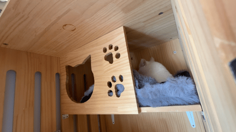 就爱吃火锅于2025-05-28 10:36发布的图片