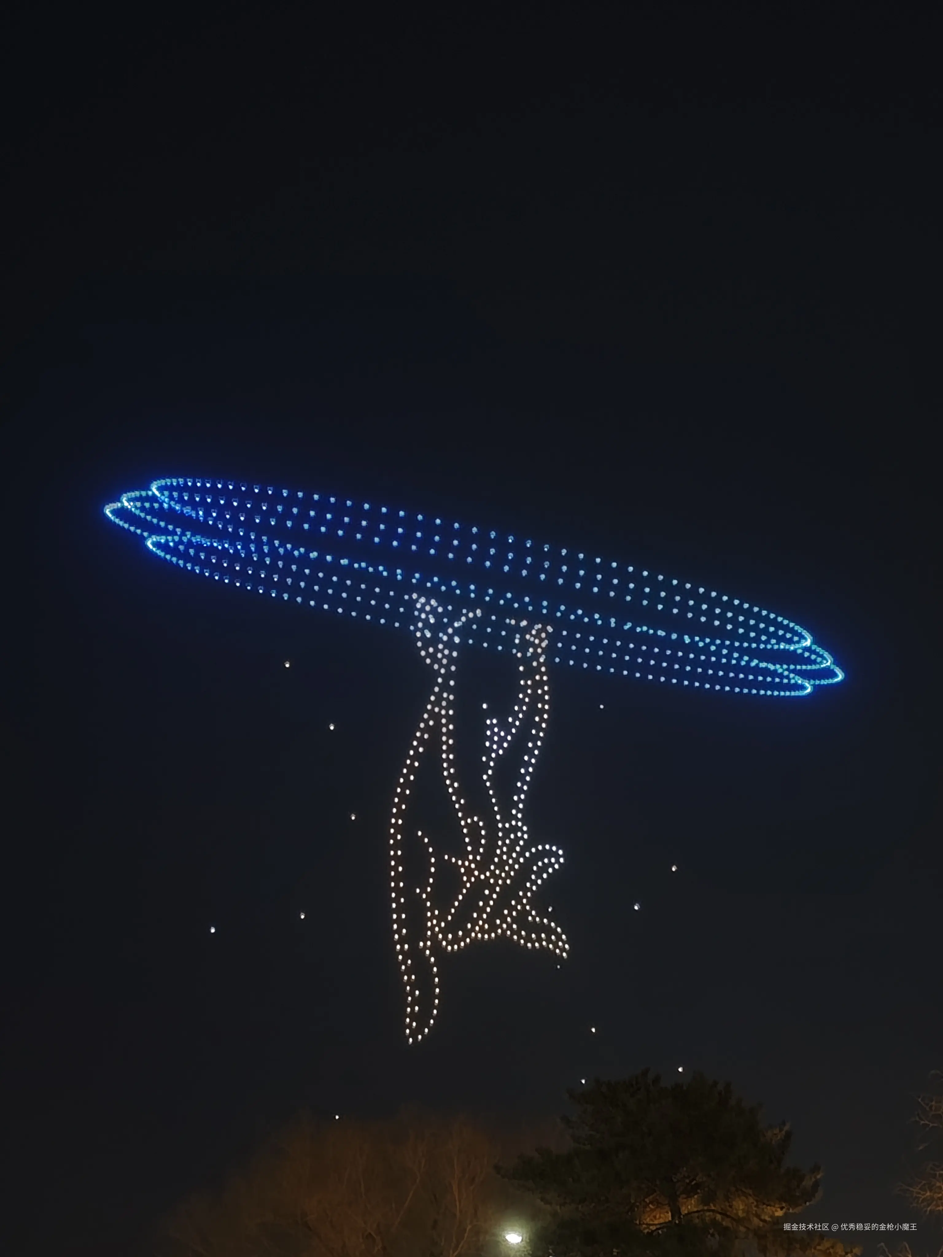 优秀稳妥的金枪小魔王于2026-02-24 13:50发布的图片