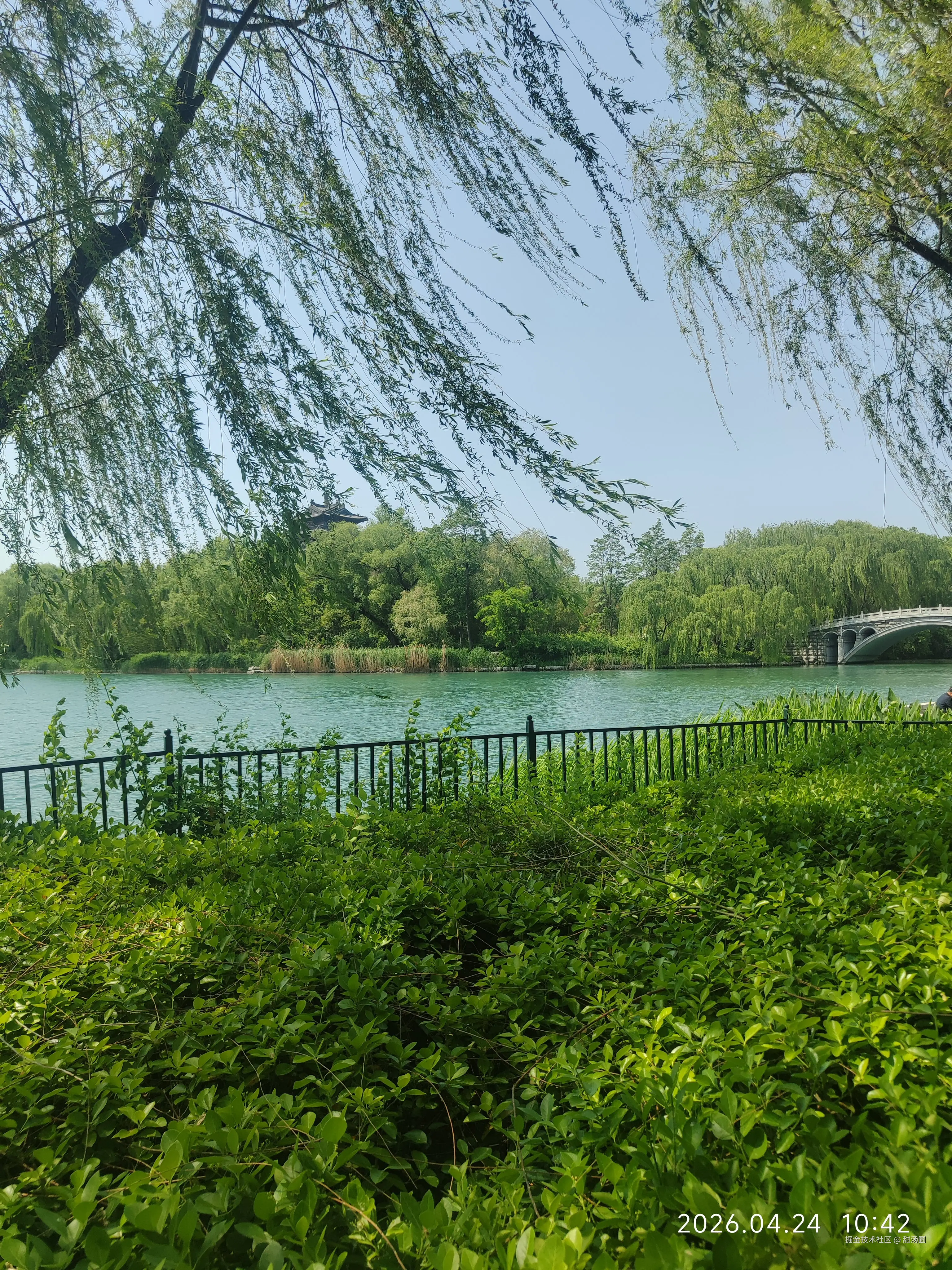 甜汤圆于2026-04-24 10:47发布的图片