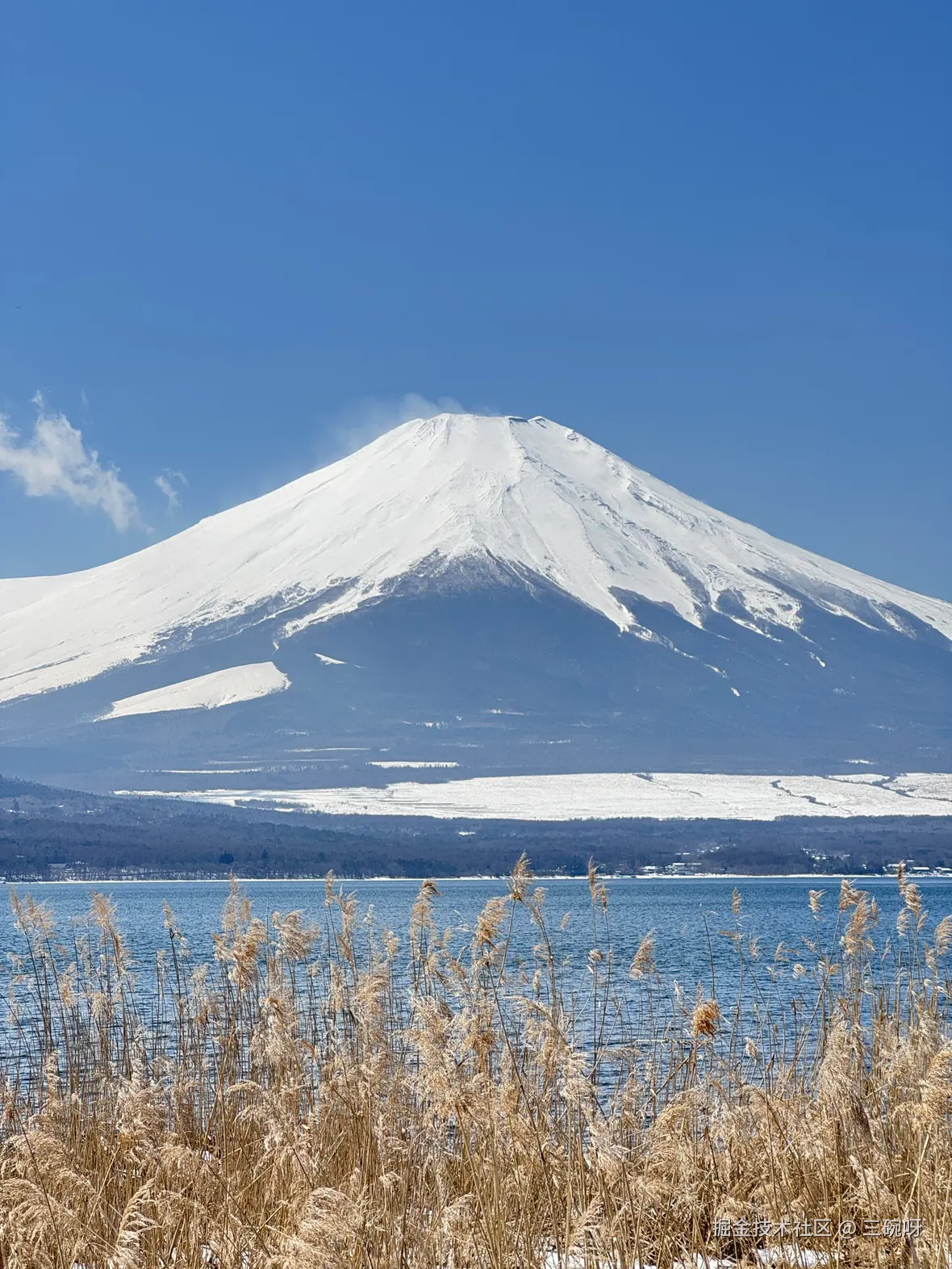 三碗呀于2025-03-26 14:33发布的图片